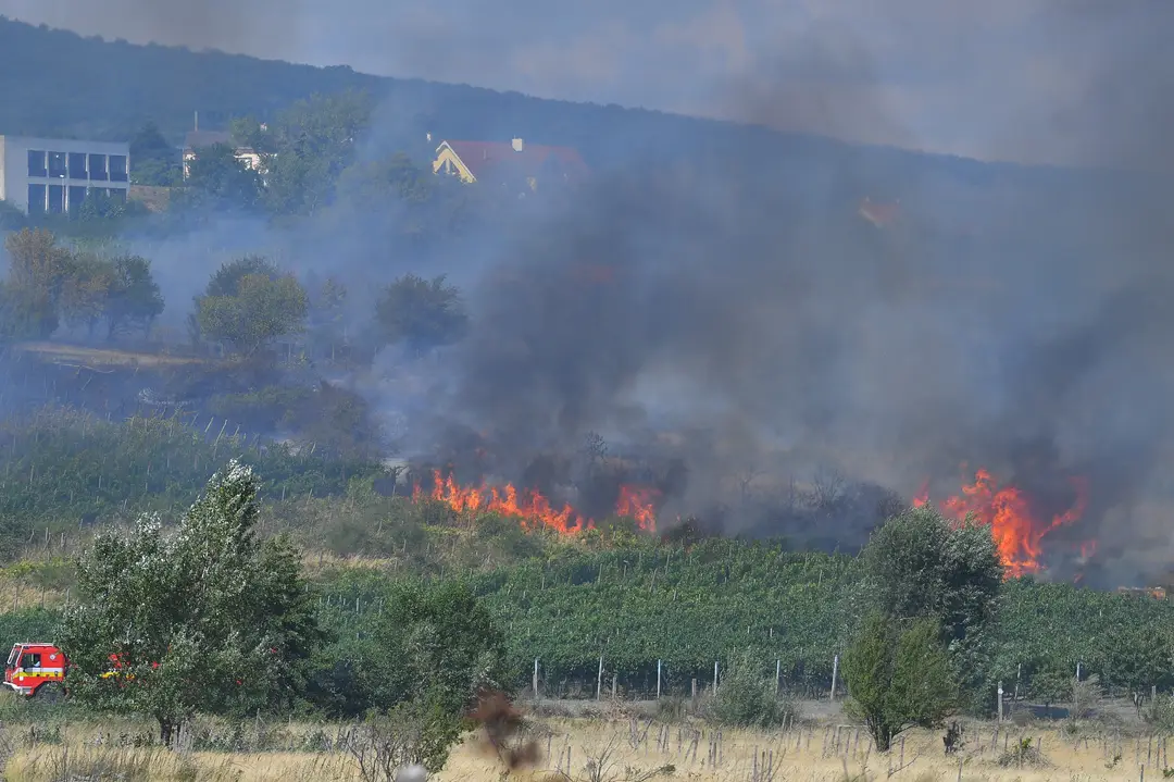 Požiar na bratislavských Vinohradoch.