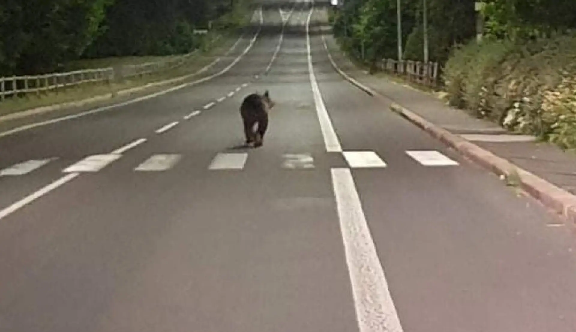 Ilustračné foto.