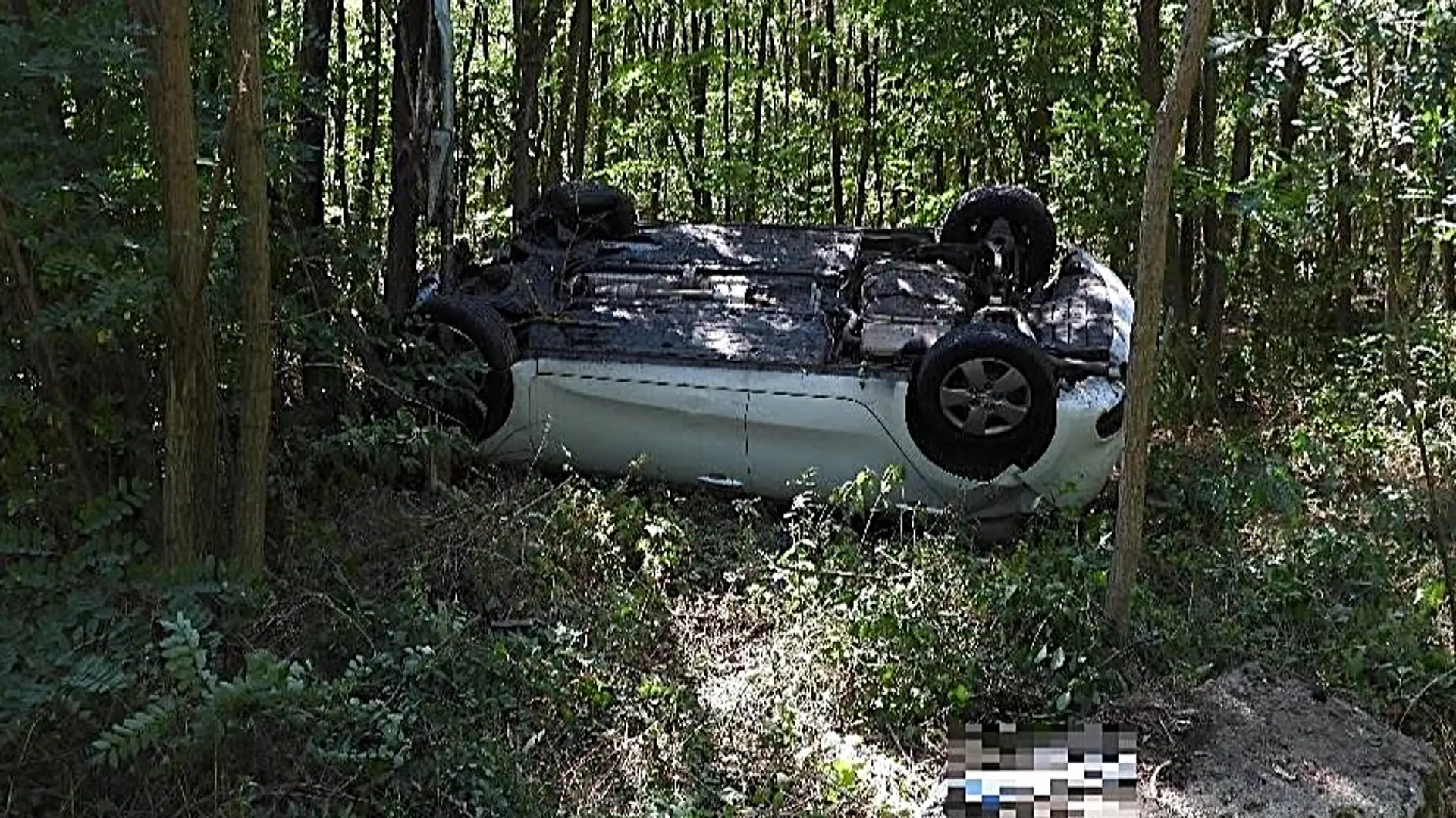 Stret mladíka so zverou sa skončil zle.