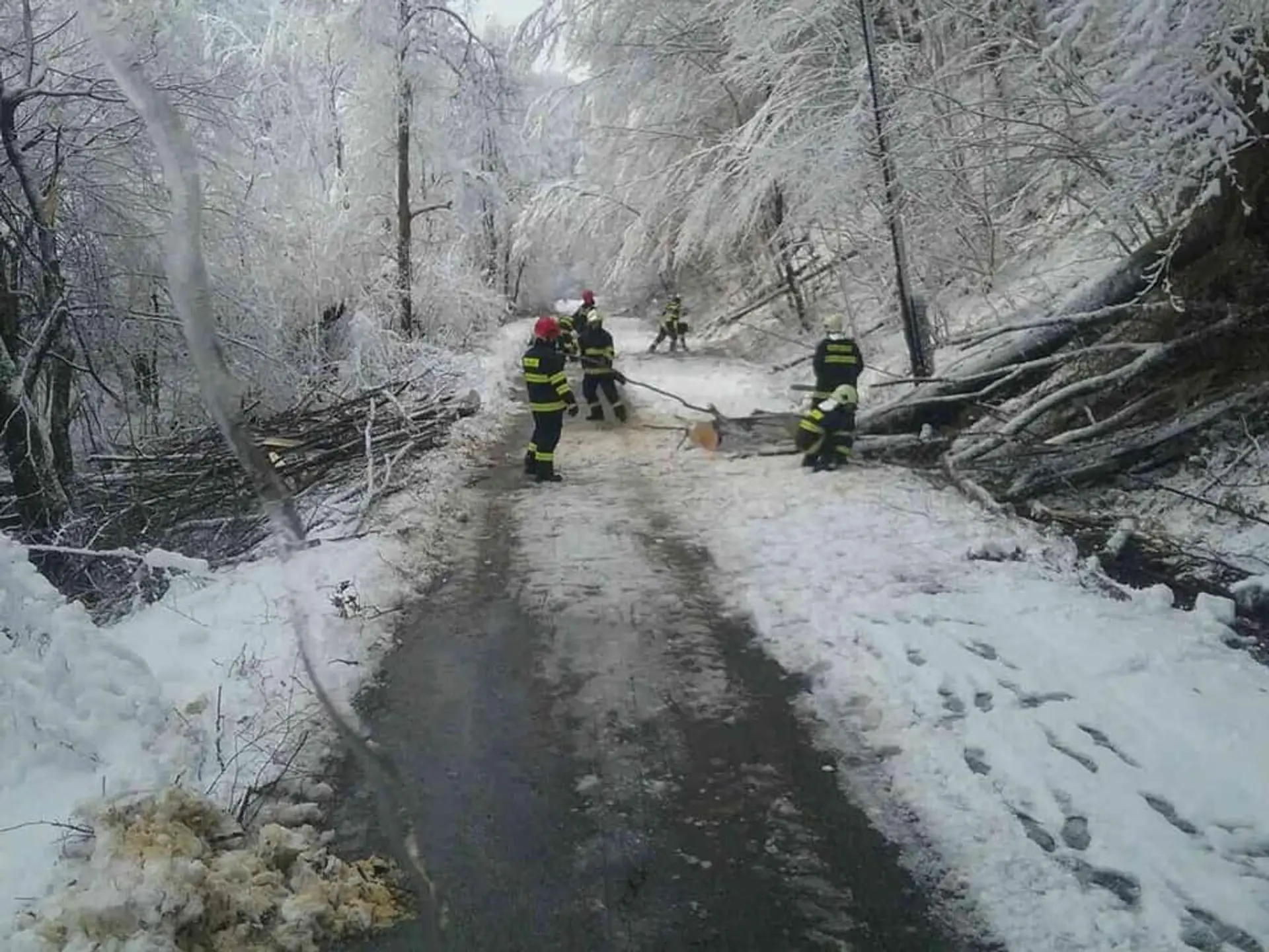 Angličtina v podaní Petry Palúskovej.
