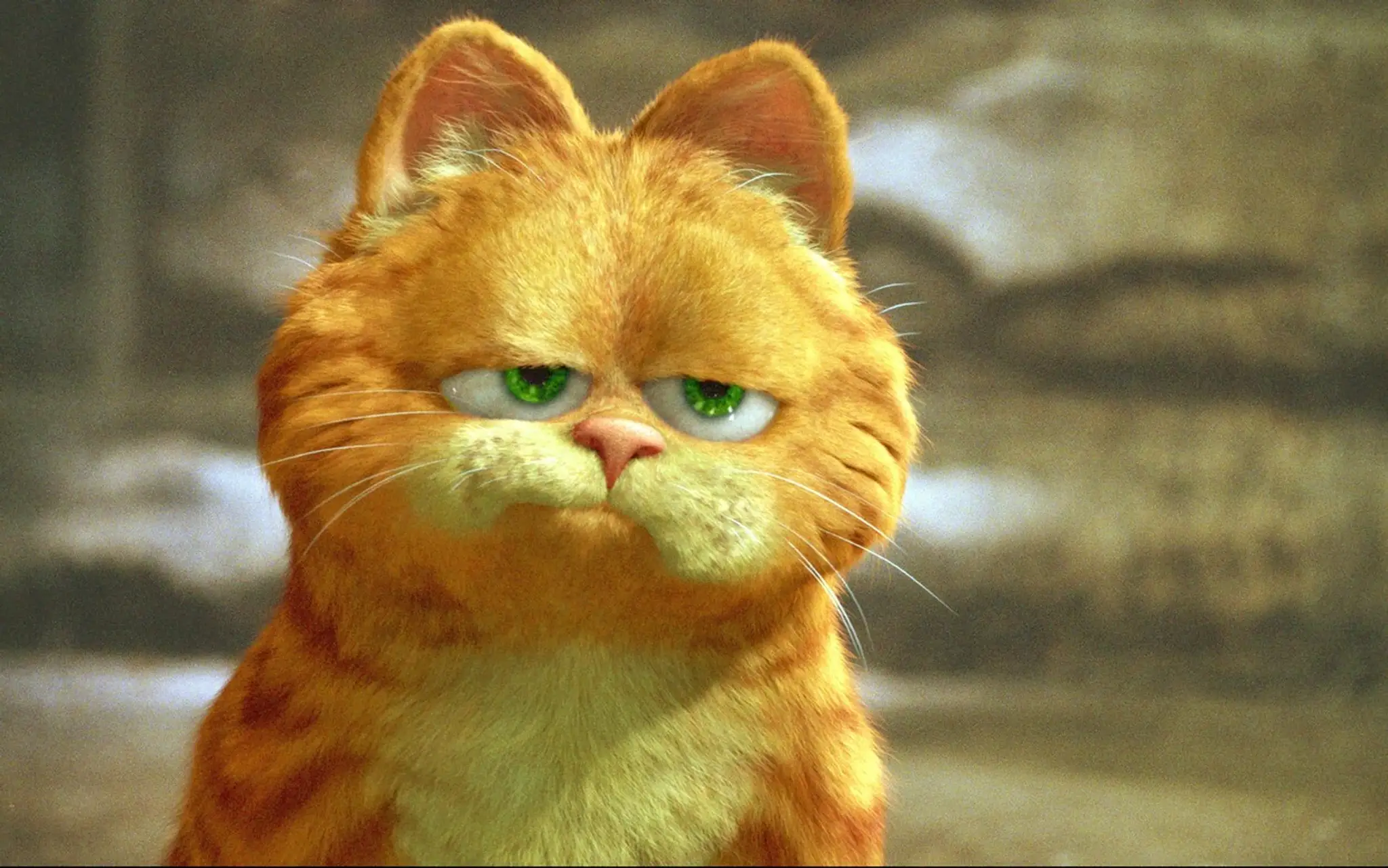 Kocúr Garfield.