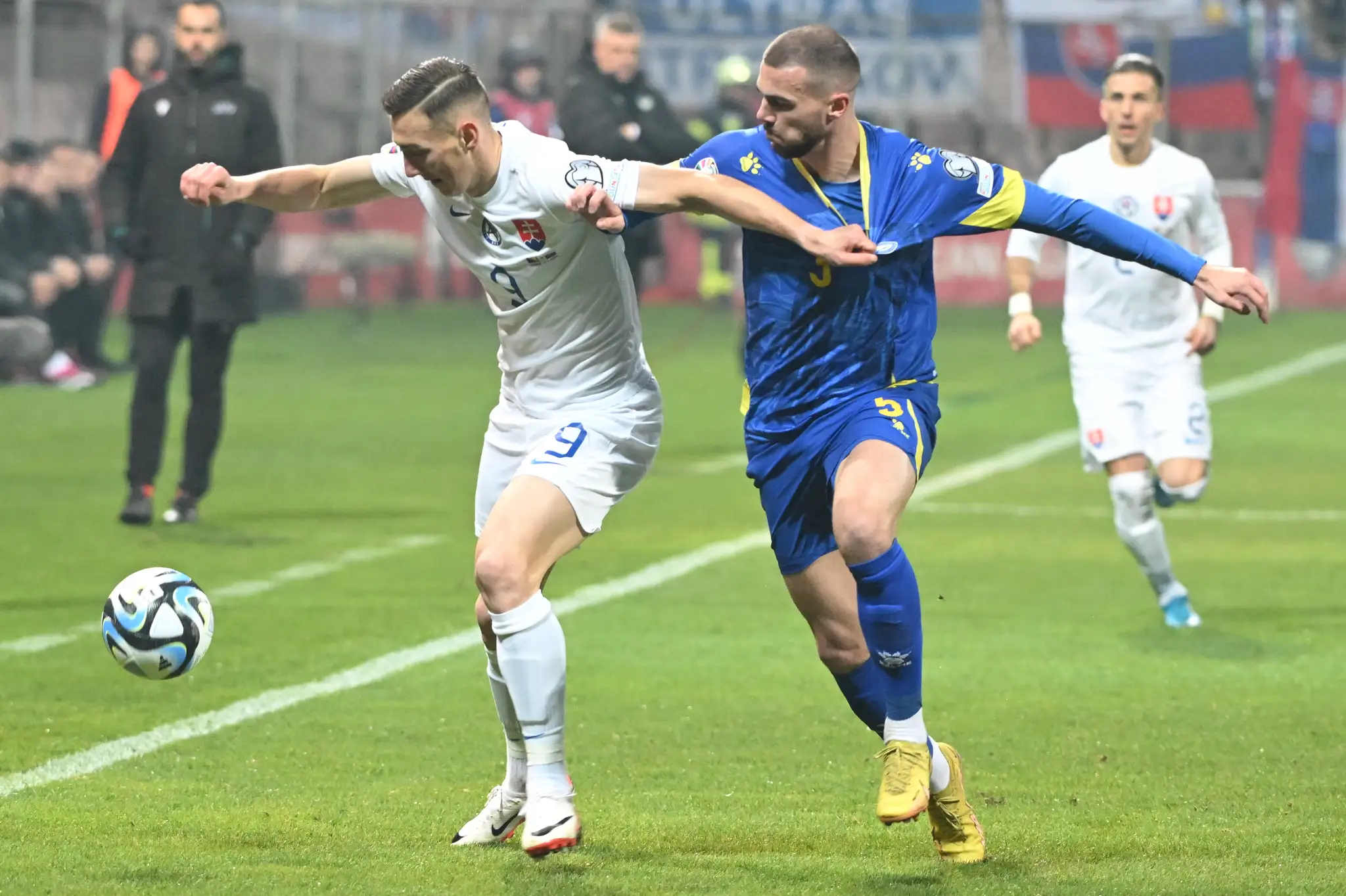 Bosna a Hercegovina - Slovensko