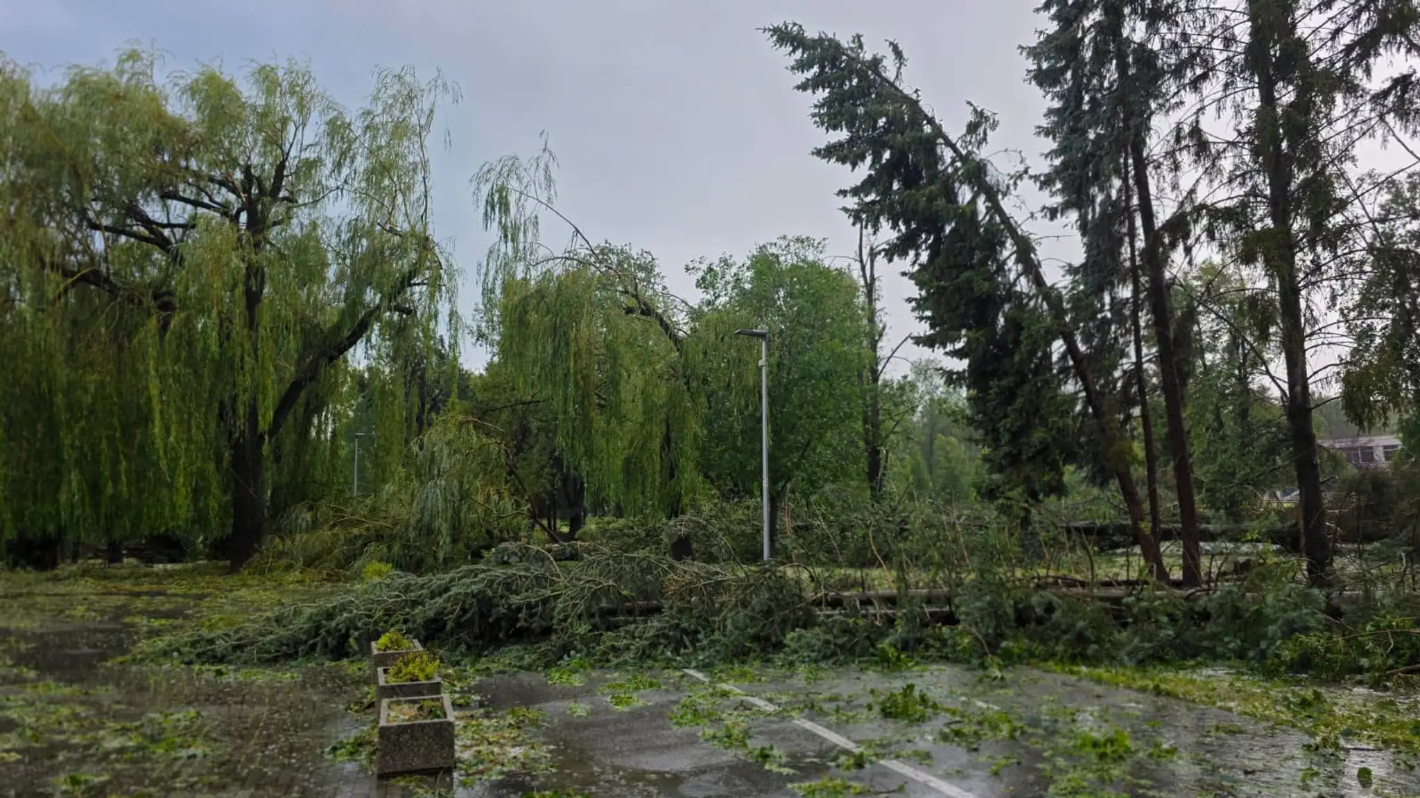 Viacero stromov vyvalilo alebo zlomilo.