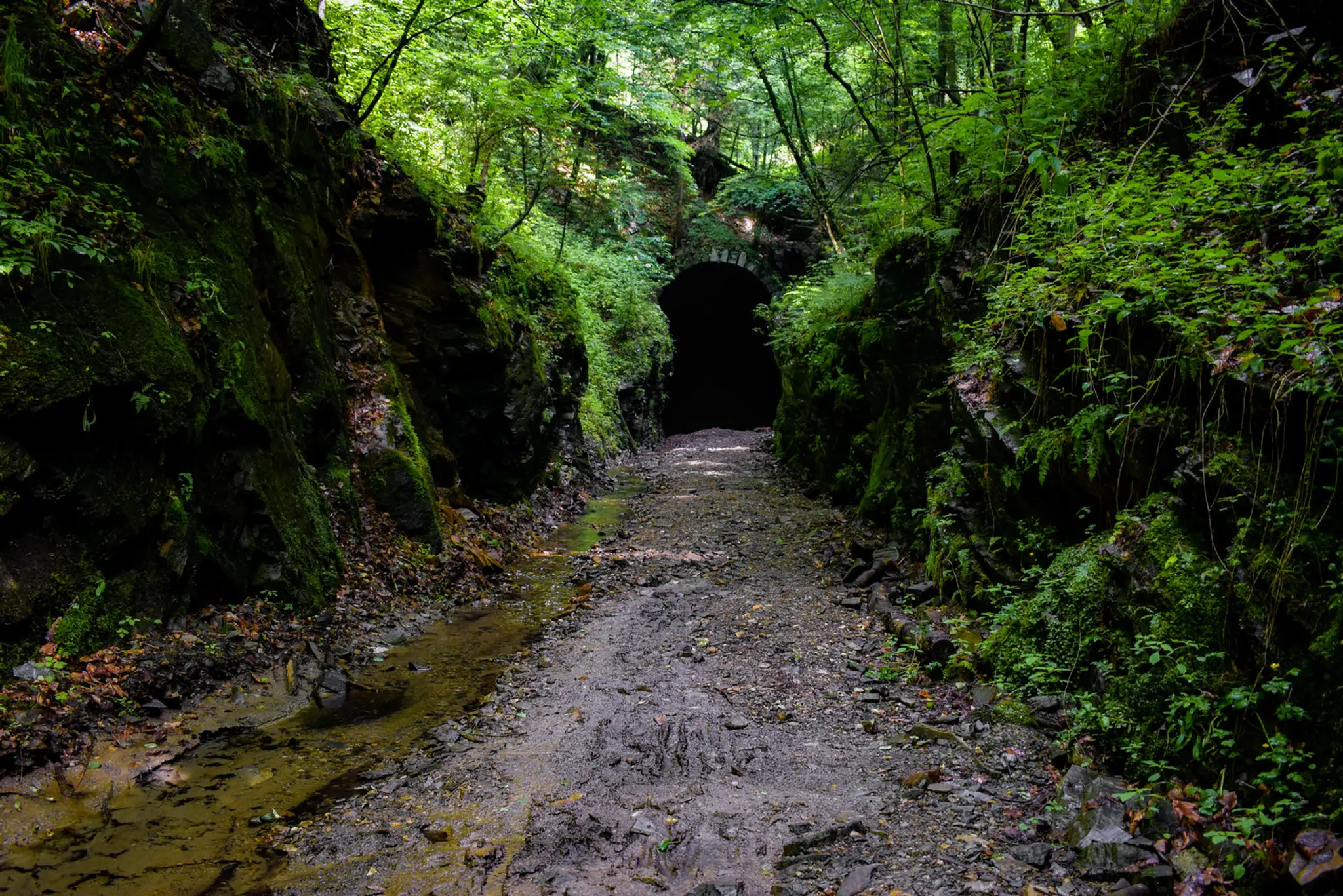 Slavošovský tunel obkolesený prírodou
