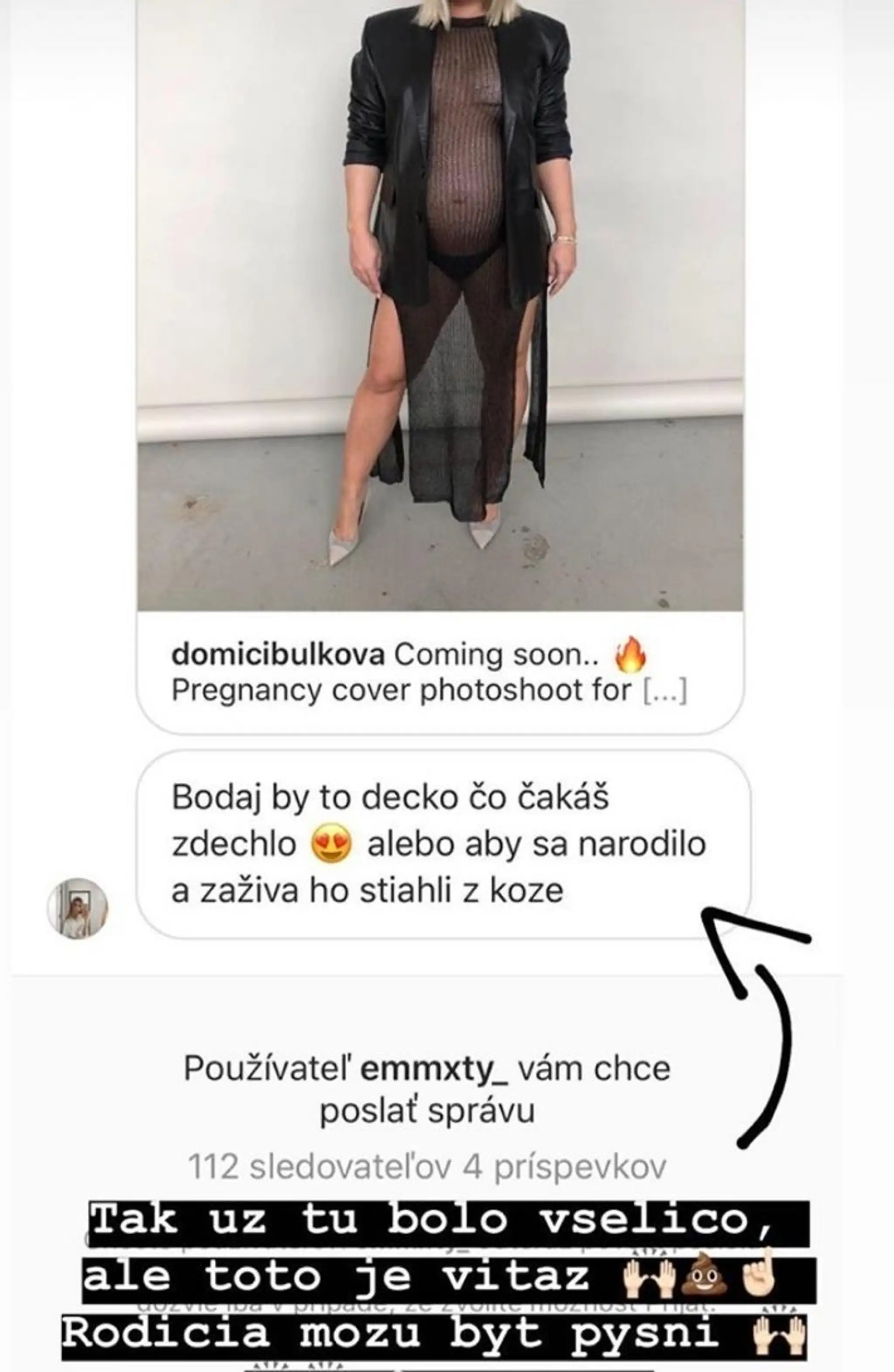Dominika Cibulková