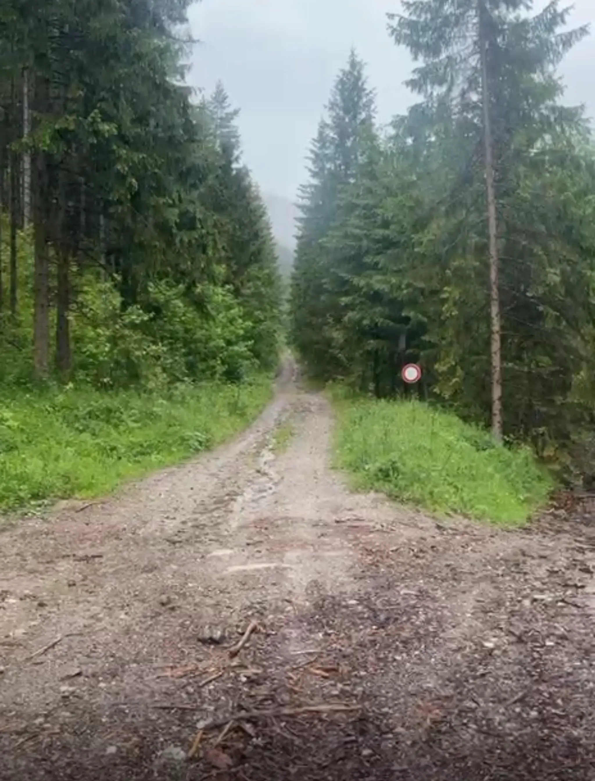 V doline pod Liptovským hradom napadol medveď lesného pracovníka.