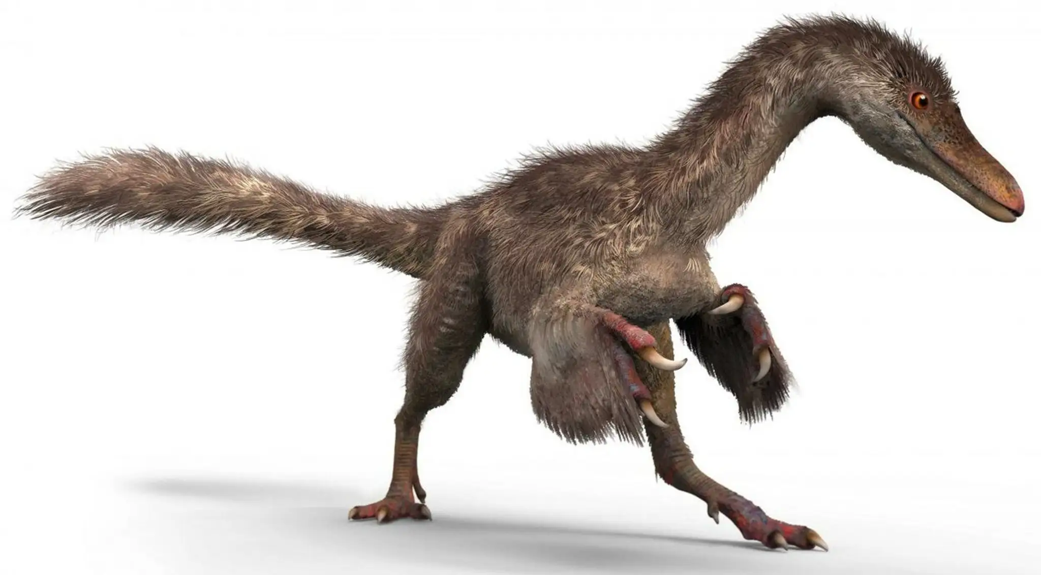 Operený dinosaurus - 3D model.jpg