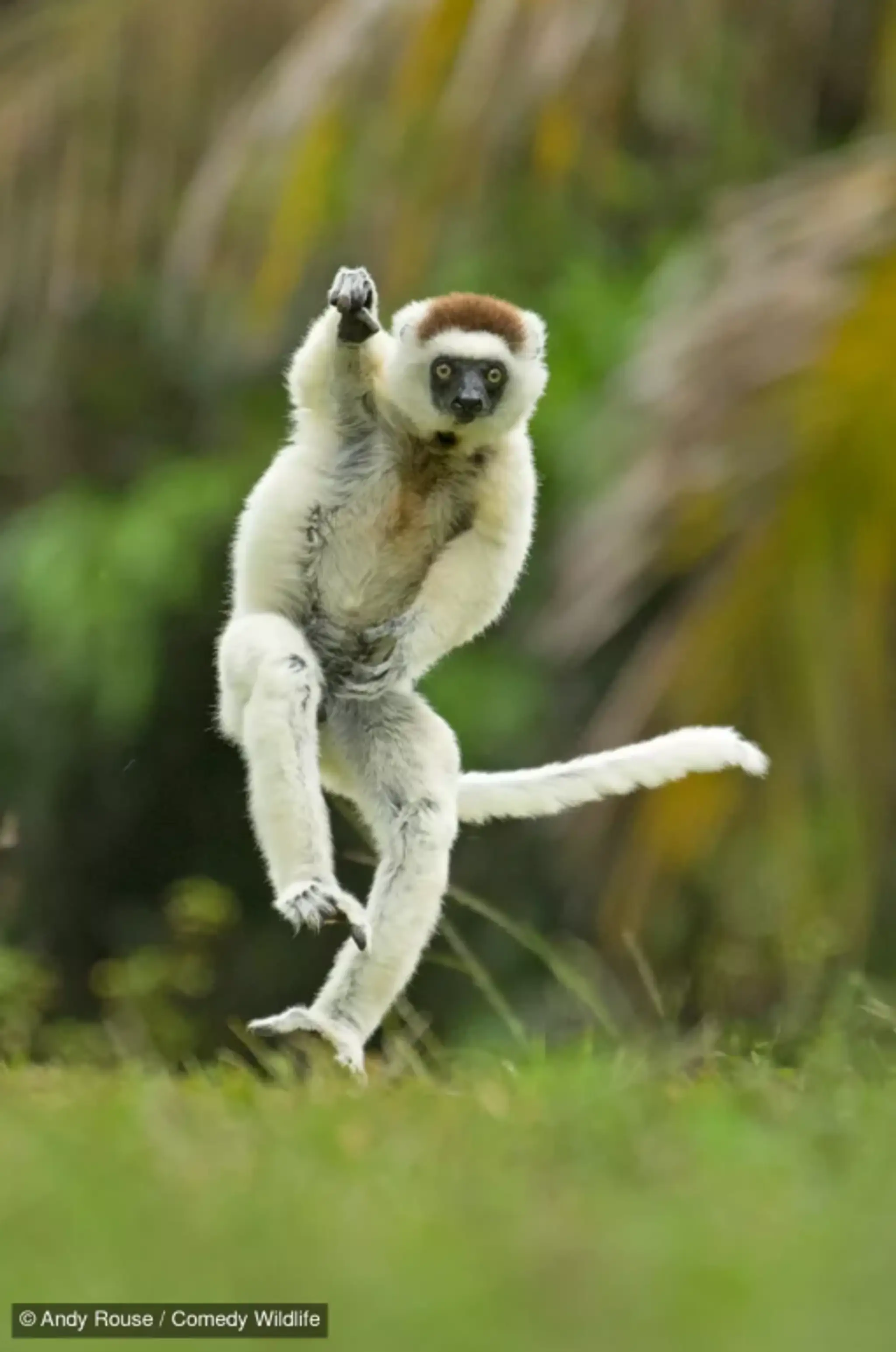 England Cricket's latest secret weapon!