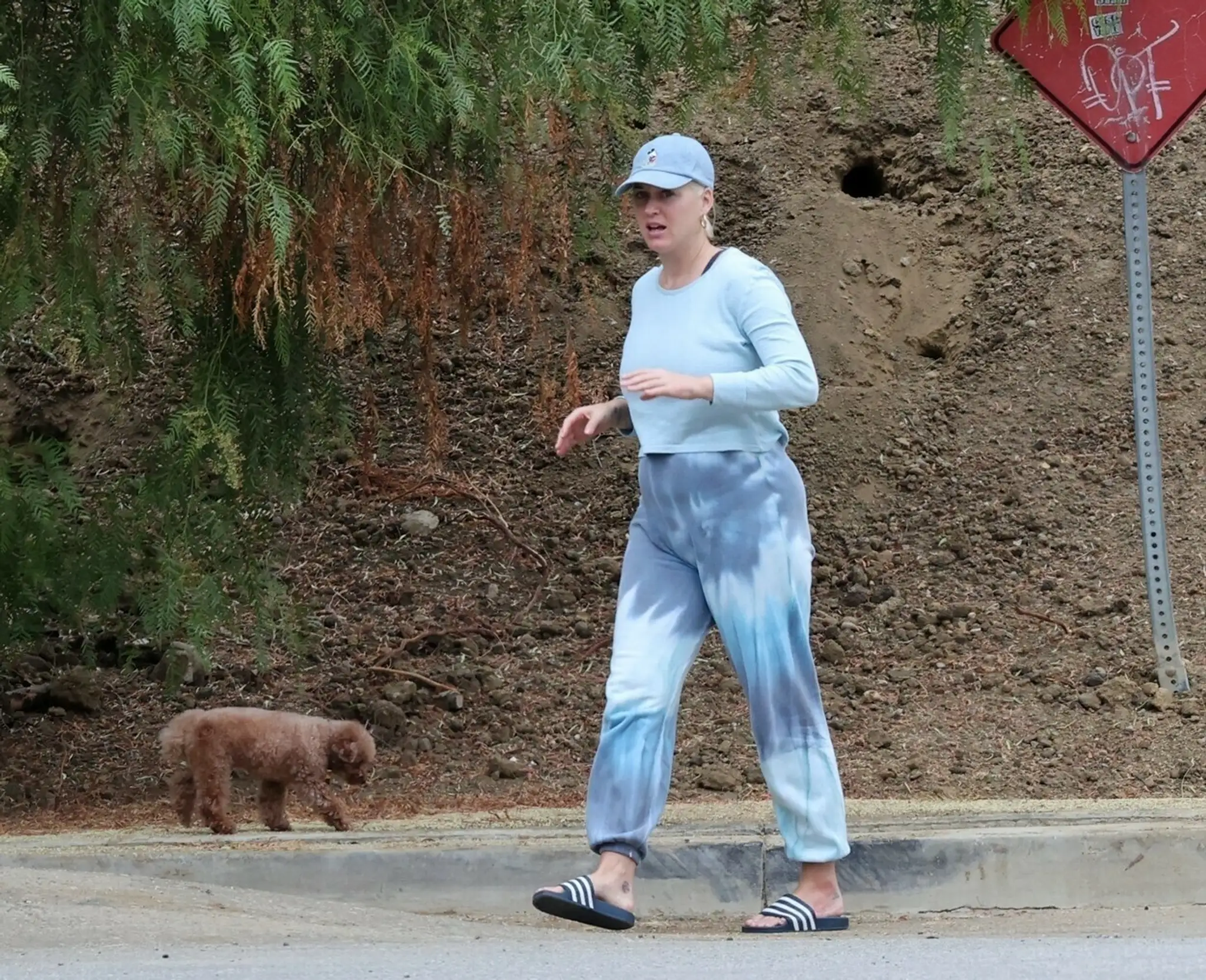 Katy Perry