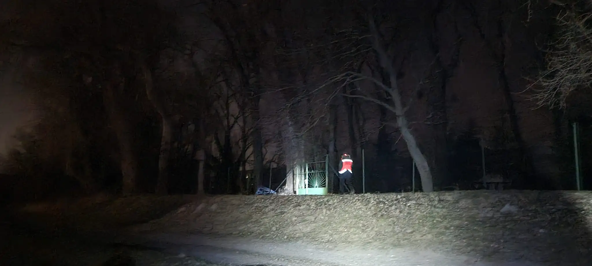 Pátranie po Terézii