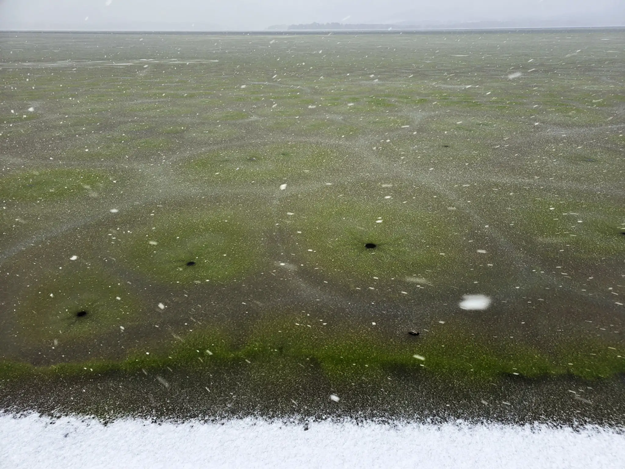 Vodnú nádrž Lipno pokryl zelený ľad zafarbený od siníc.