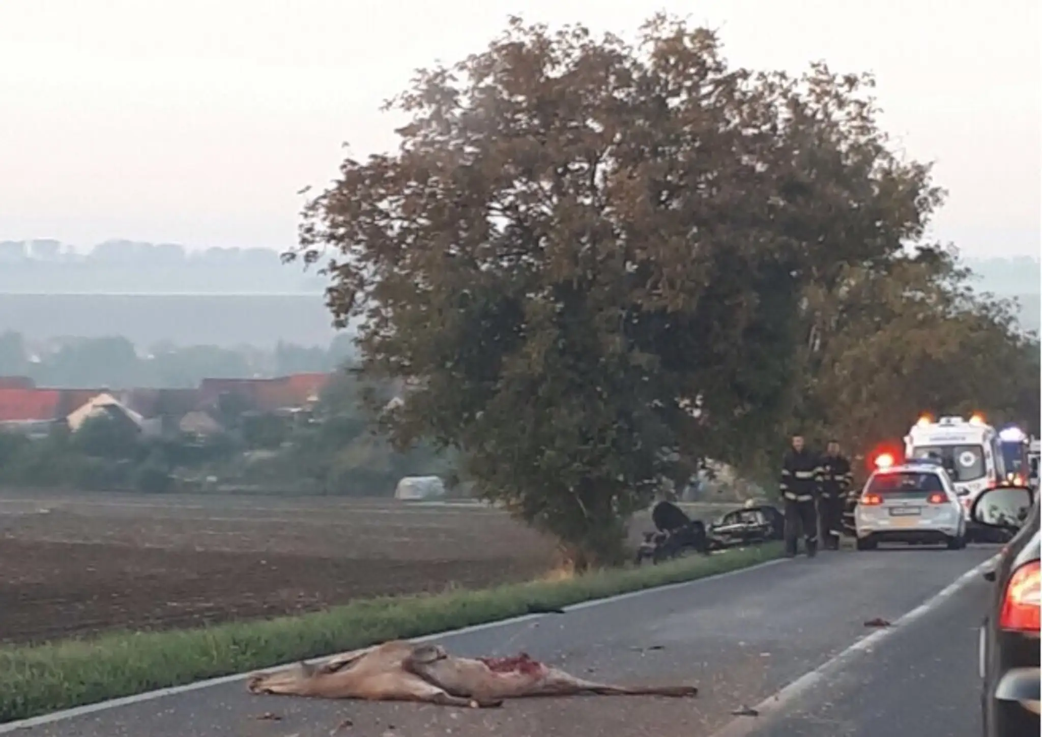 Auto sa zrazilo s laňou.