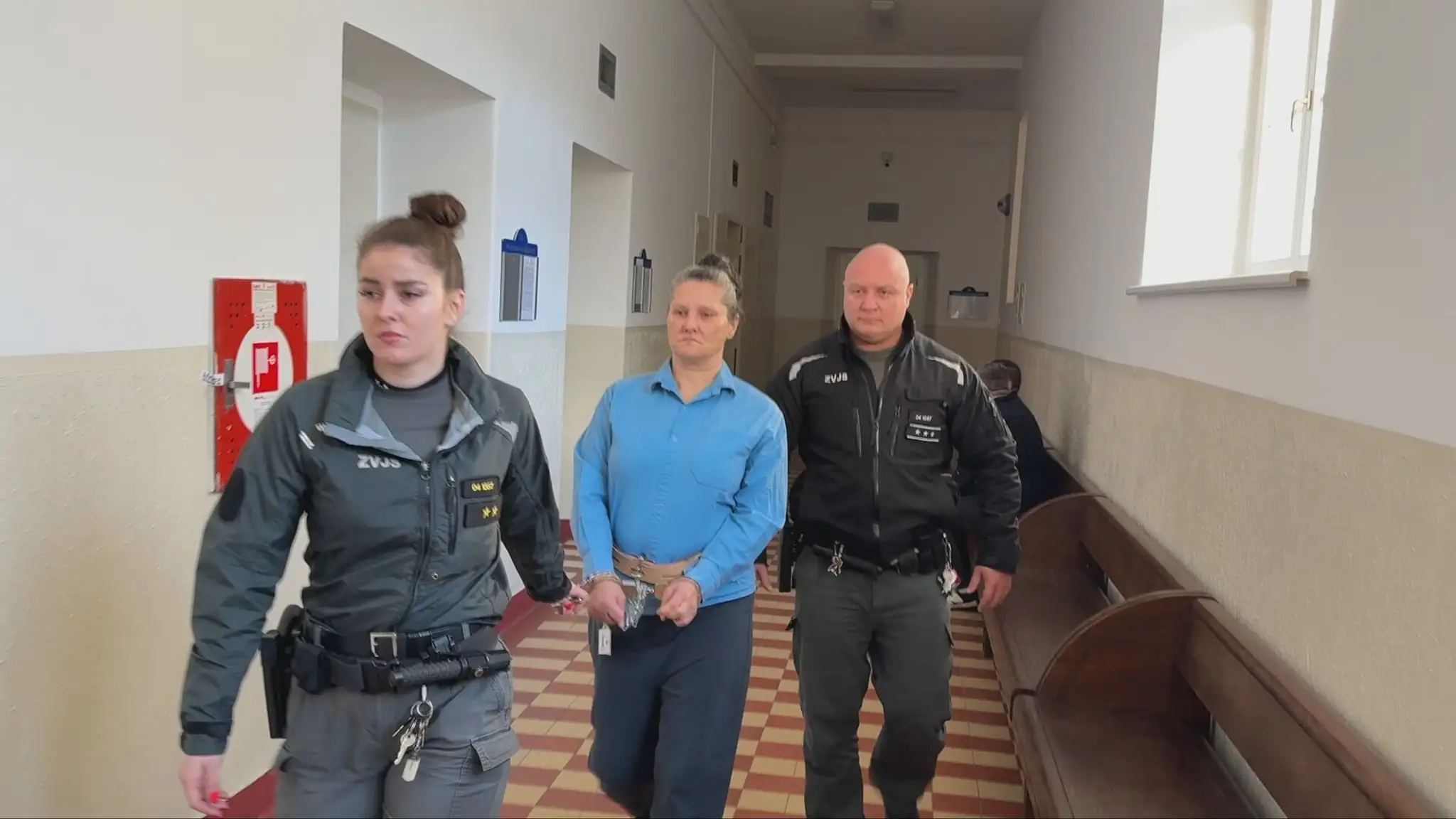 Žena, ktorá mala zabiť svojho partnera, sa postavila pred súd