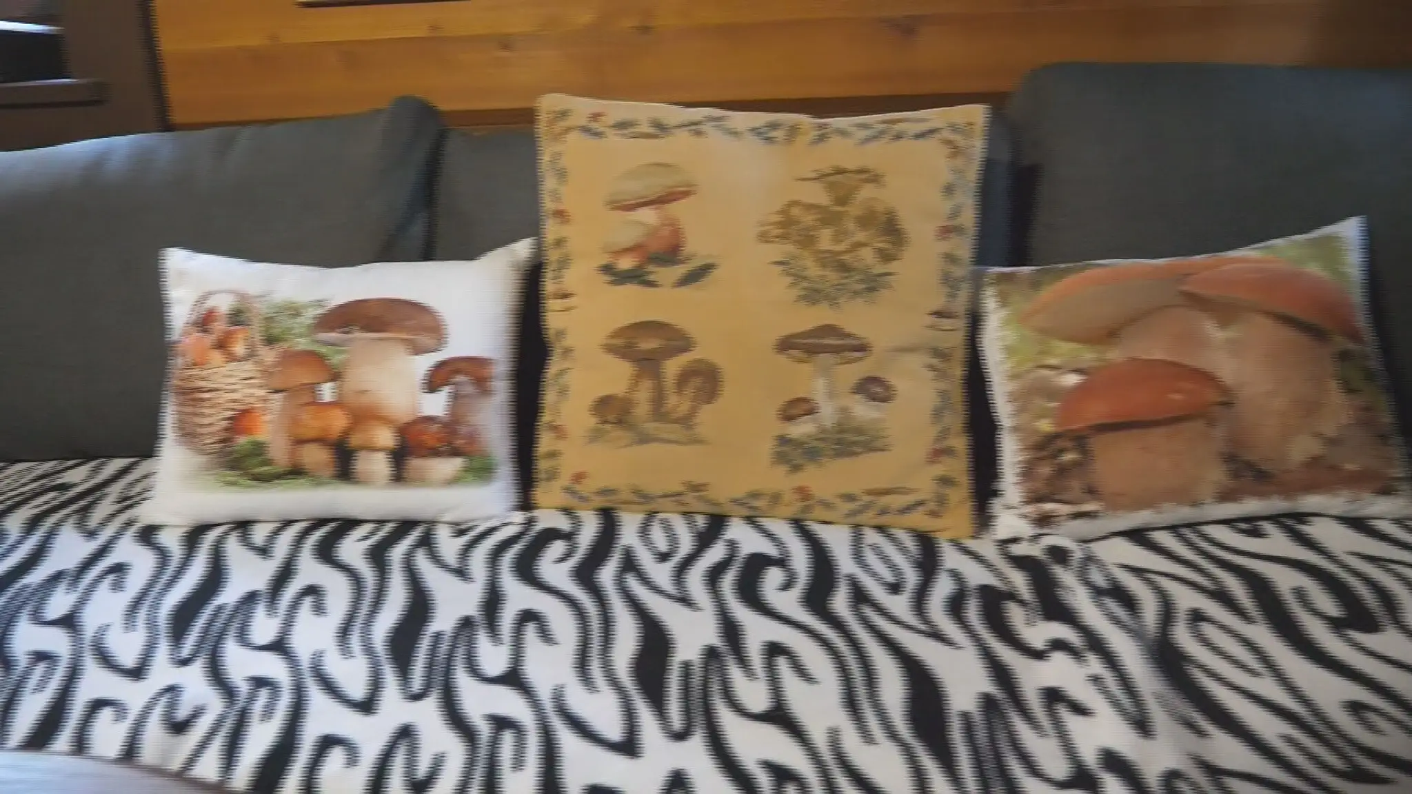 Hubár Július nás pozval do svojej chatky.