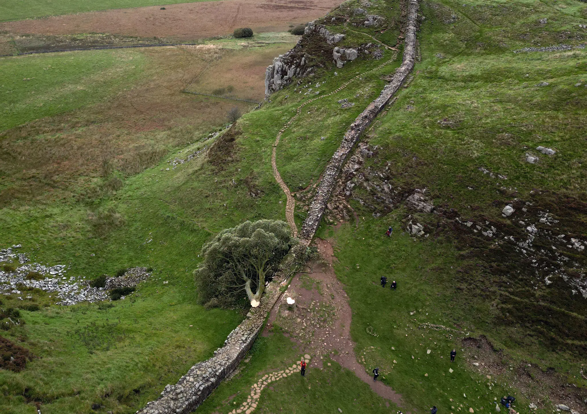udia sa pozerajú na takmer 200-ročný javor horský, ktorý zoťal 16-ročný mladík na mieste zvanom Sycamore Gap.