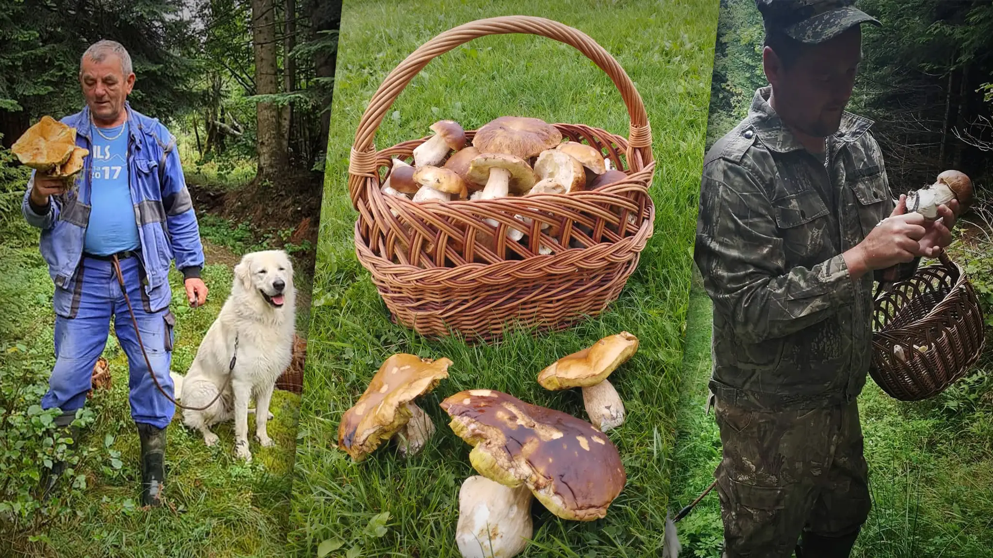 Slováci sa chvália svojimi úlovkami