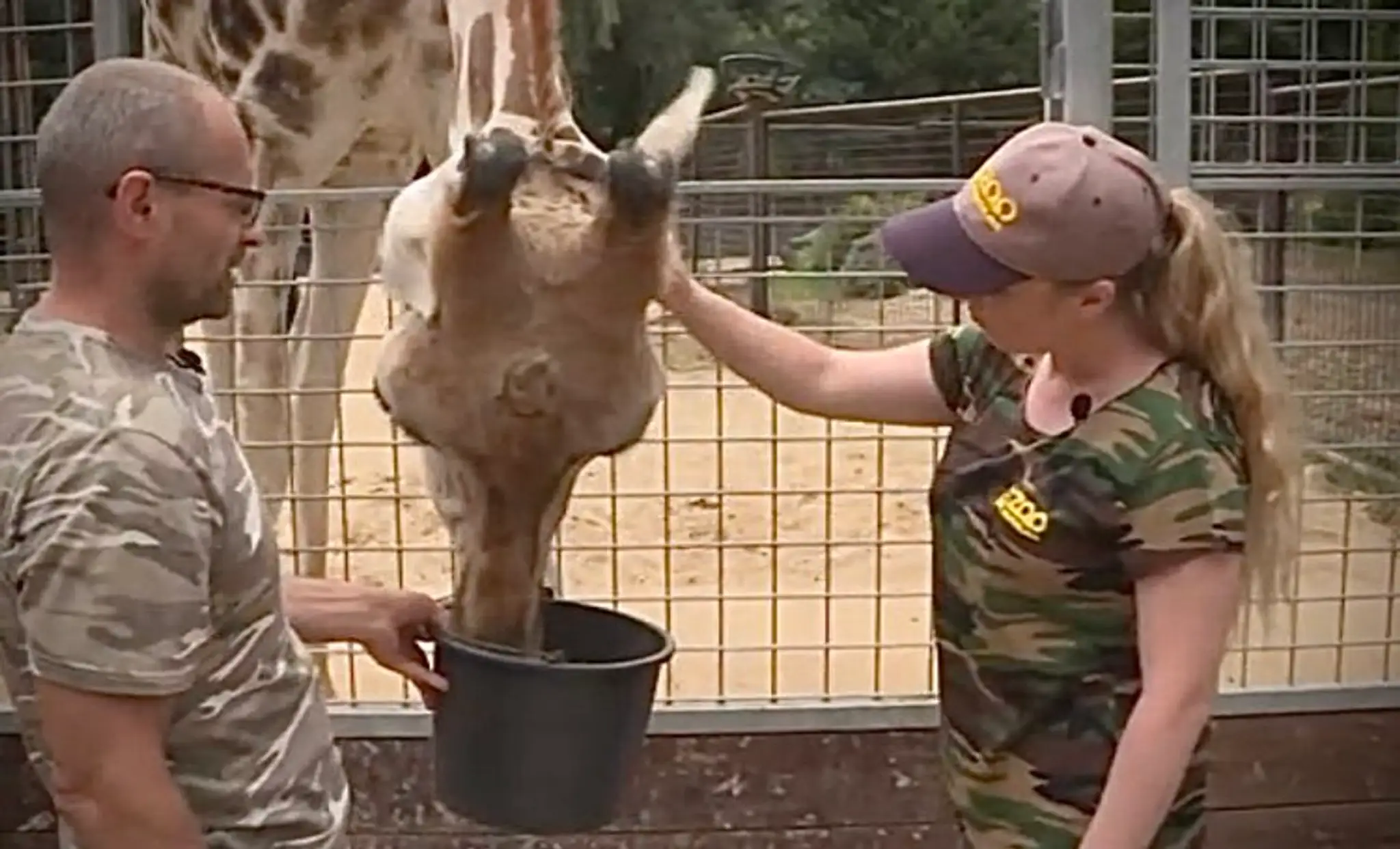 Redaktorka Televíznych novín si vyskúšala prácu v ZOO.