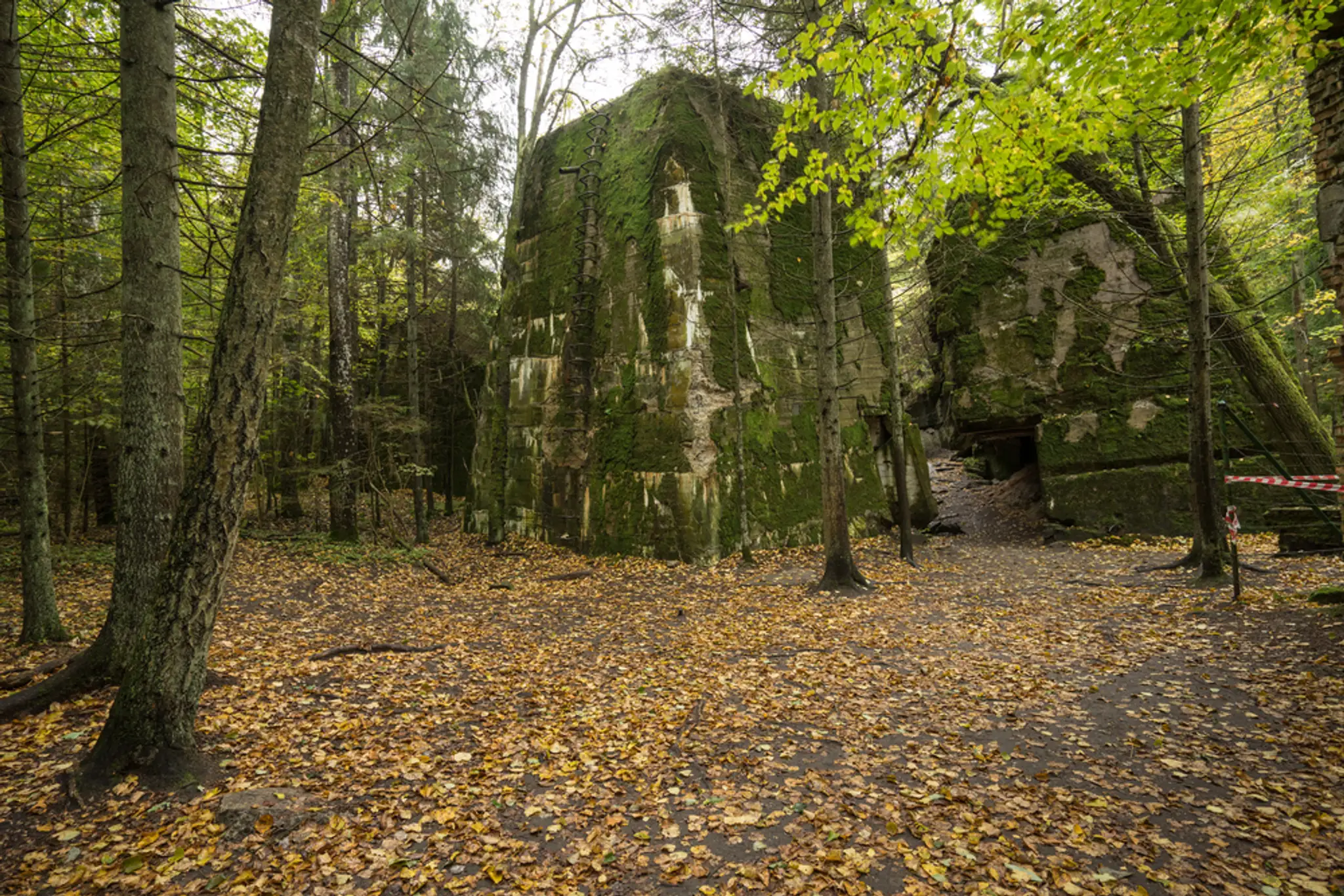 Vlčí brloh, Poľsko.