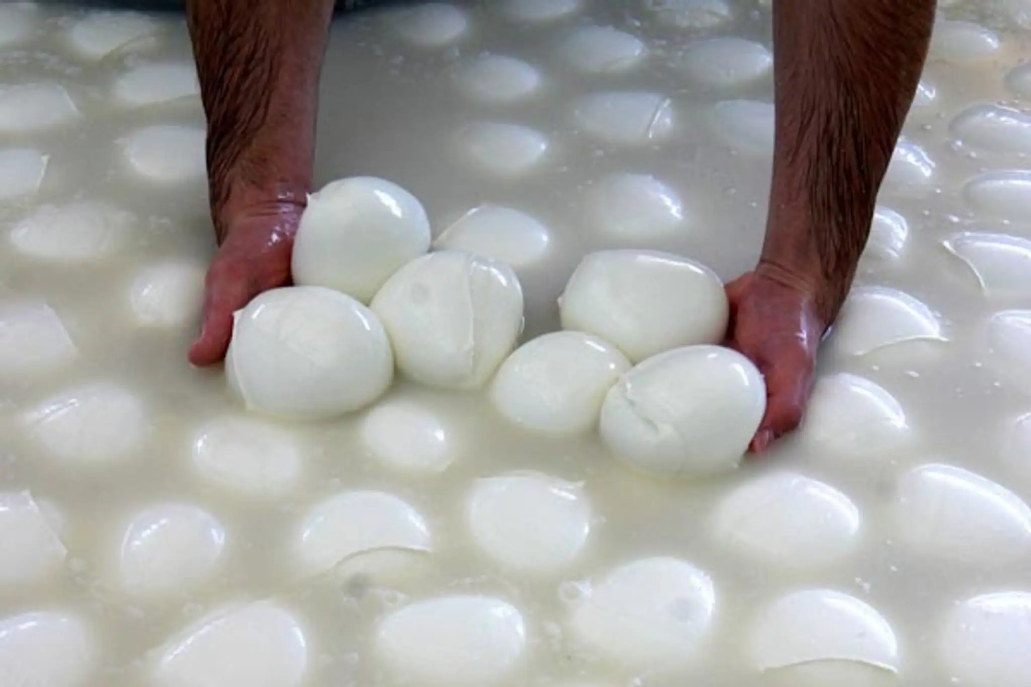 Test mozzarelly