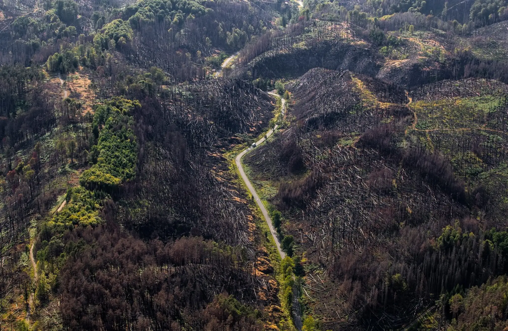 České Švajčiarsko rok po požiari