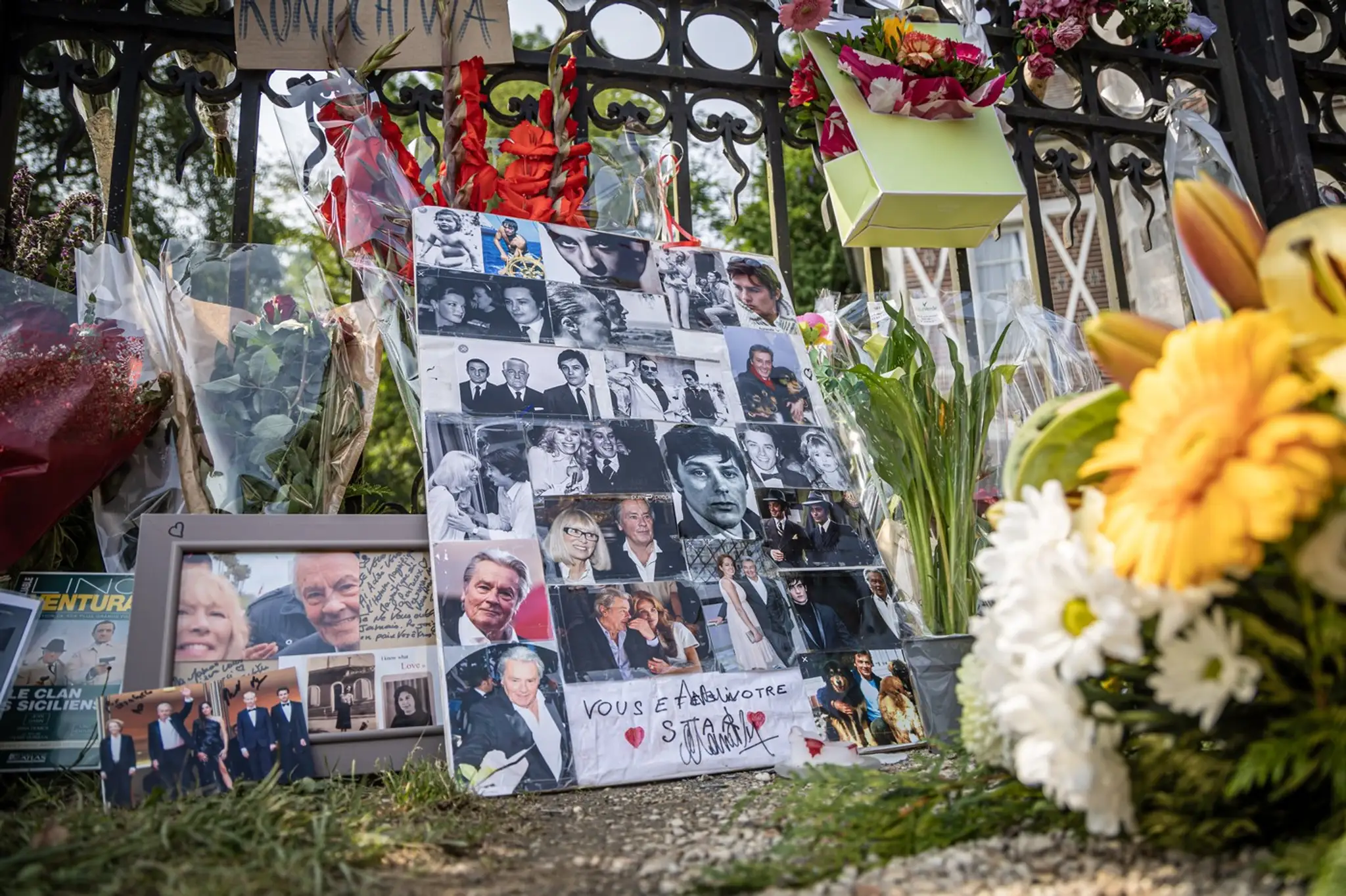Francúzsky herec Alain Delon zomrel v nedeľu