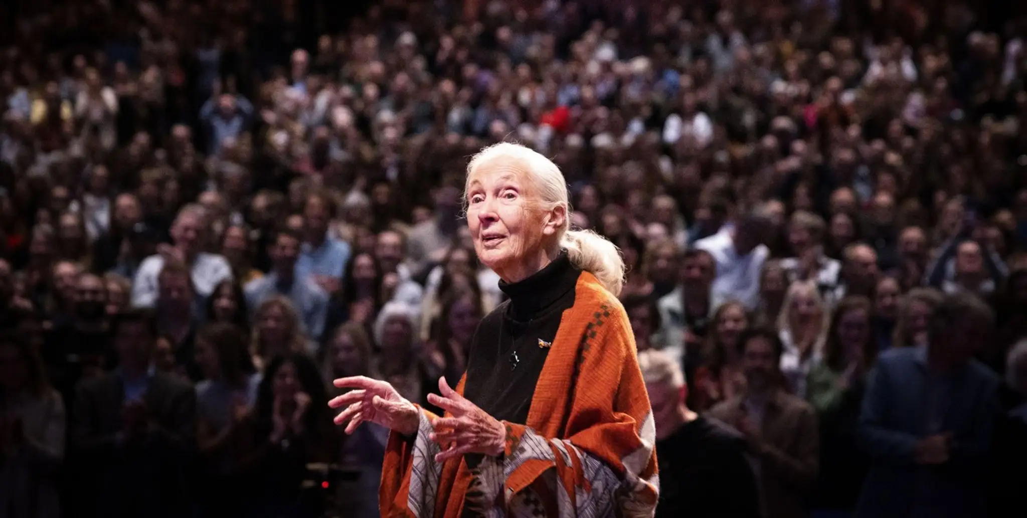 Jane Goodall