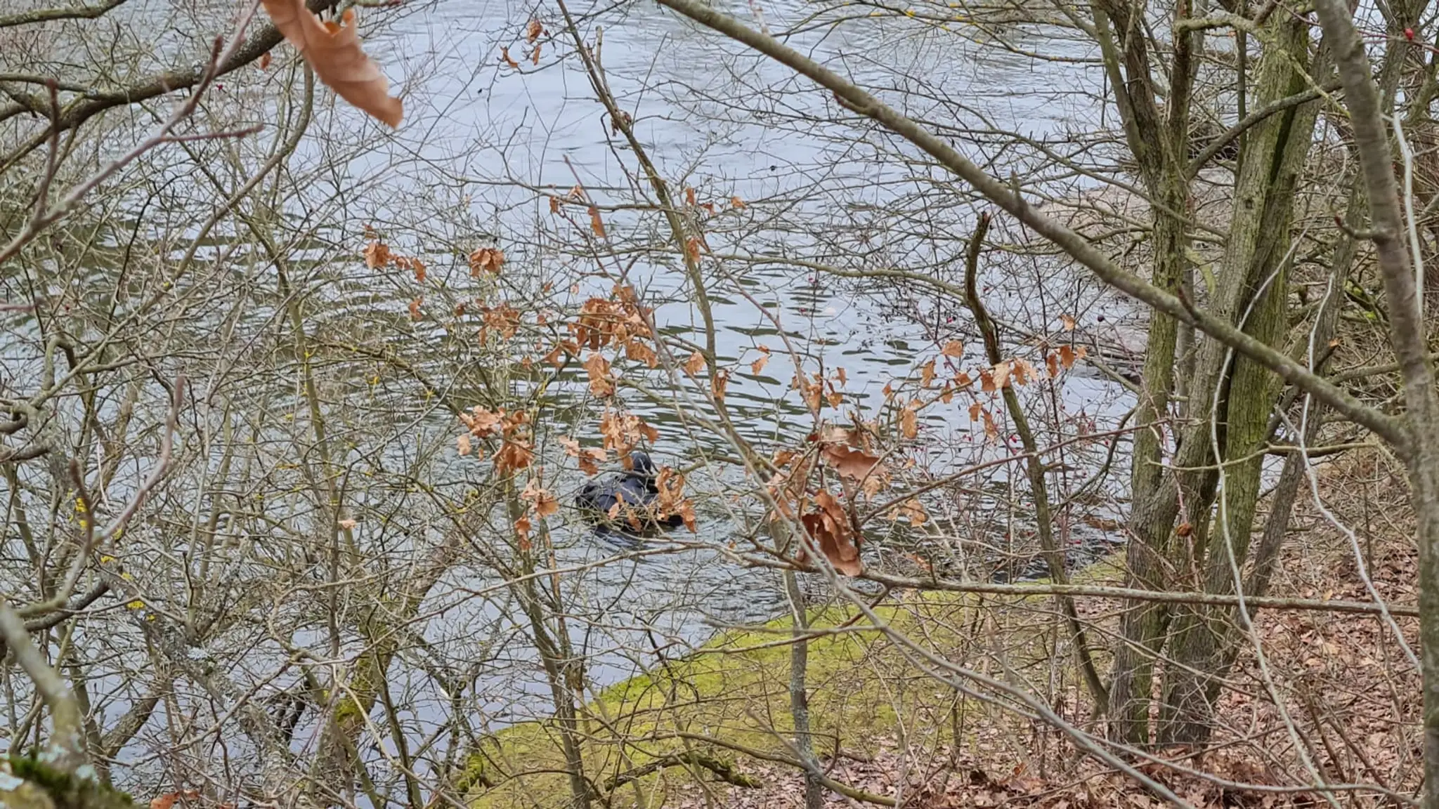 V Čechách vyšetrujú záhadnú smrť muža, telo našli v rieke bez hlavy.