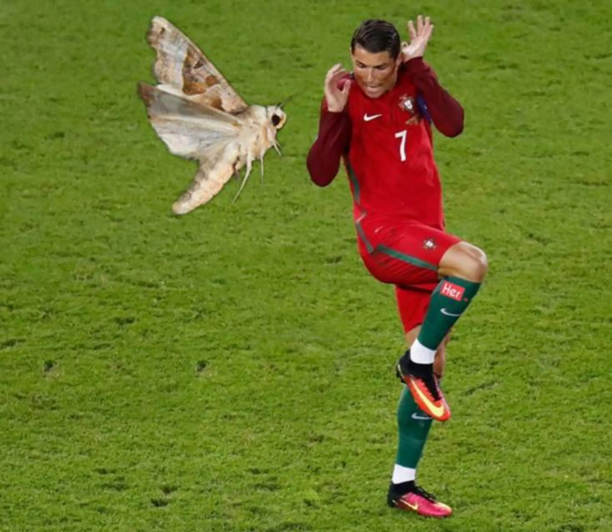 Vtipná koláž: Ronaldo a mora