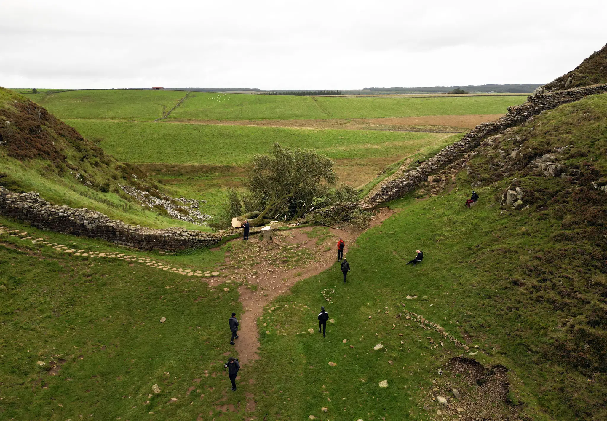 udia sa pozerajú na takmer 200-ročný javor horský, ktorý zoťal 16-ročný mladík na mieste zvanom Sycamore Gap.