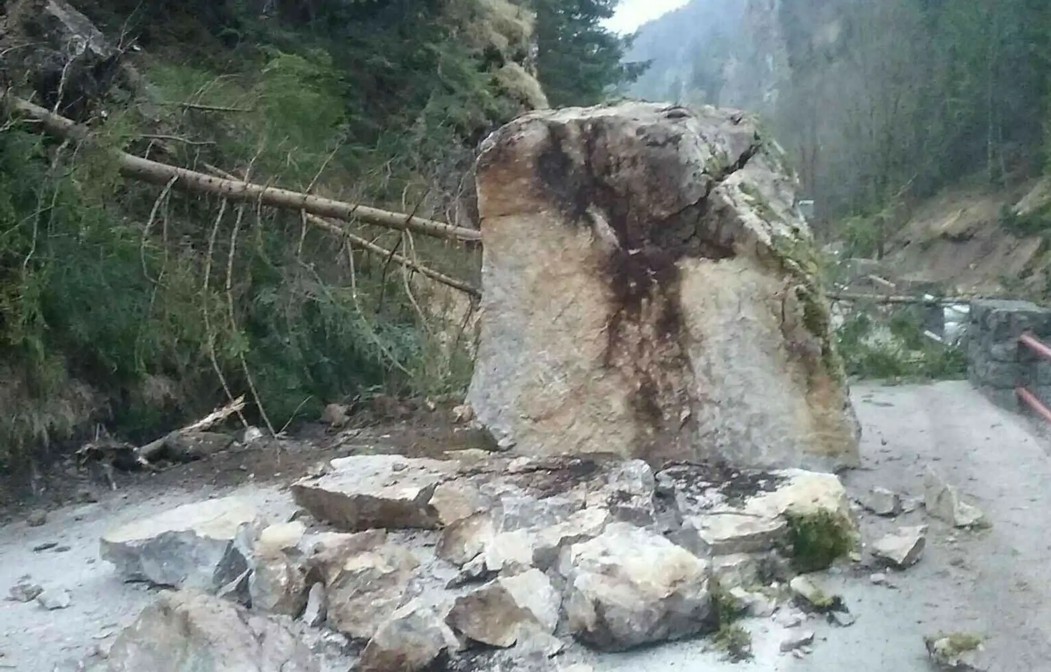 Spadnutý balvan vo Vrátnej doline.