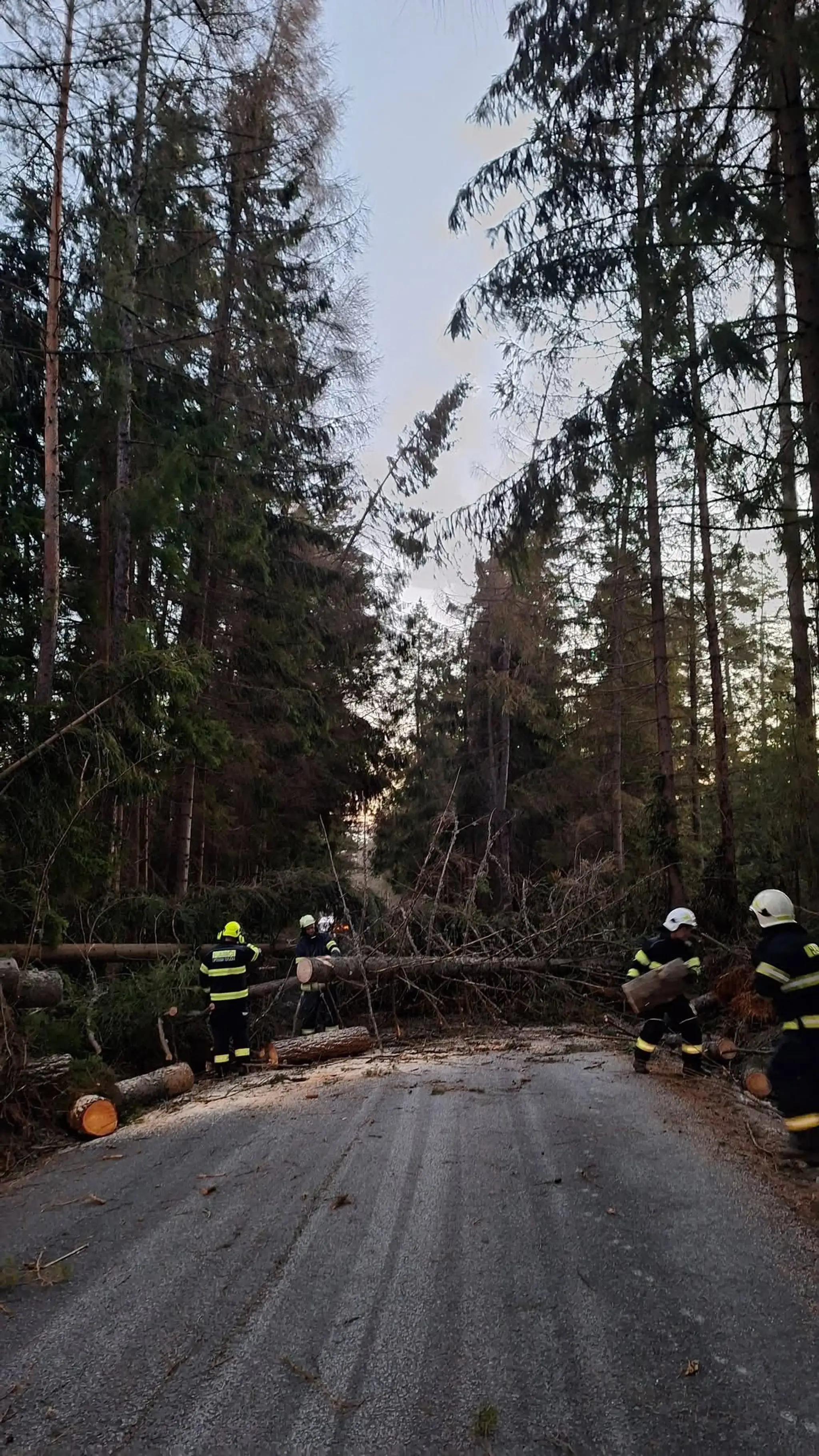 Odstraňovanie následkov silného vetra pri Liptovskej Tepličke.