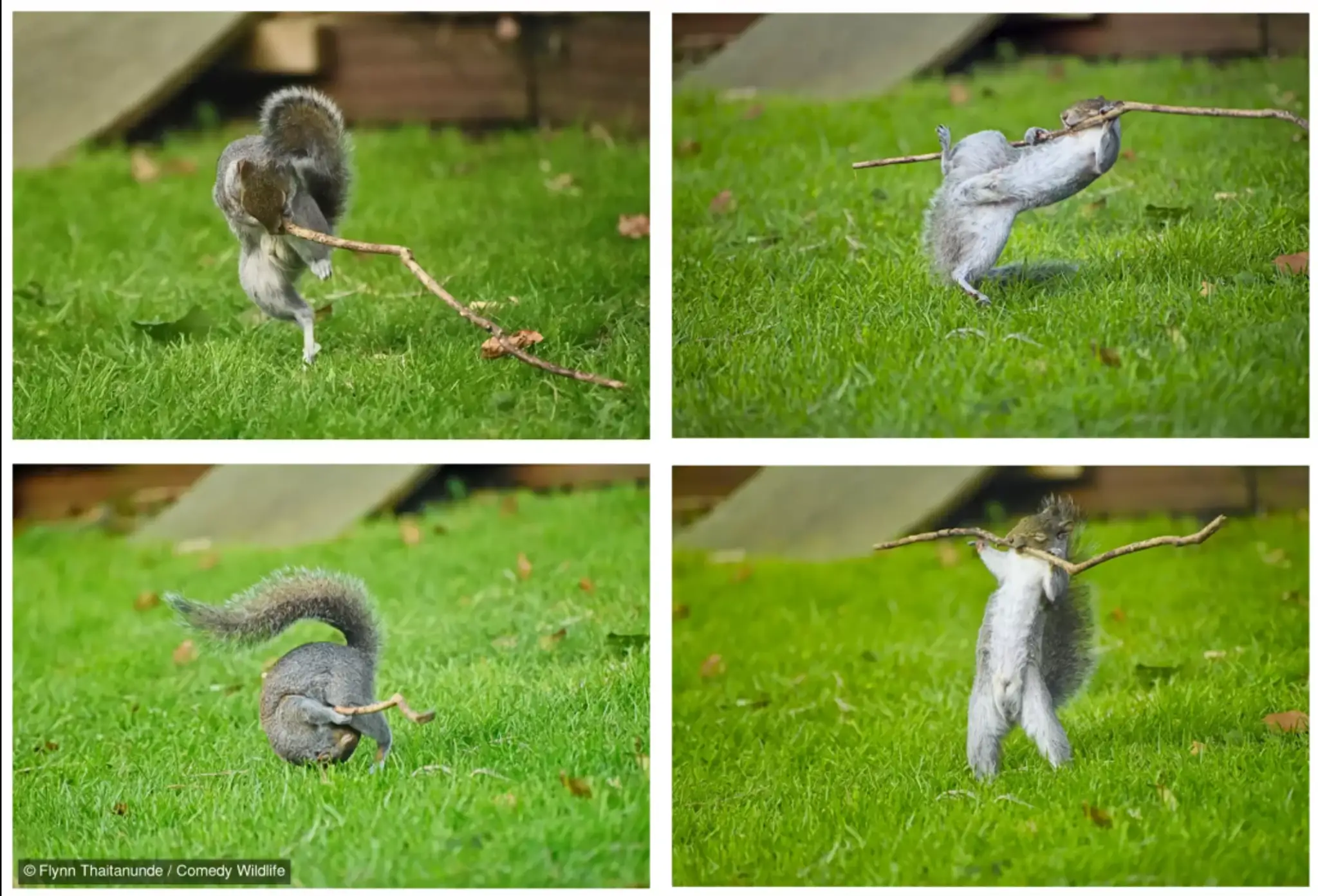 Dancing To The Music, Rock guitar, Roly Poly, Weight Lifting