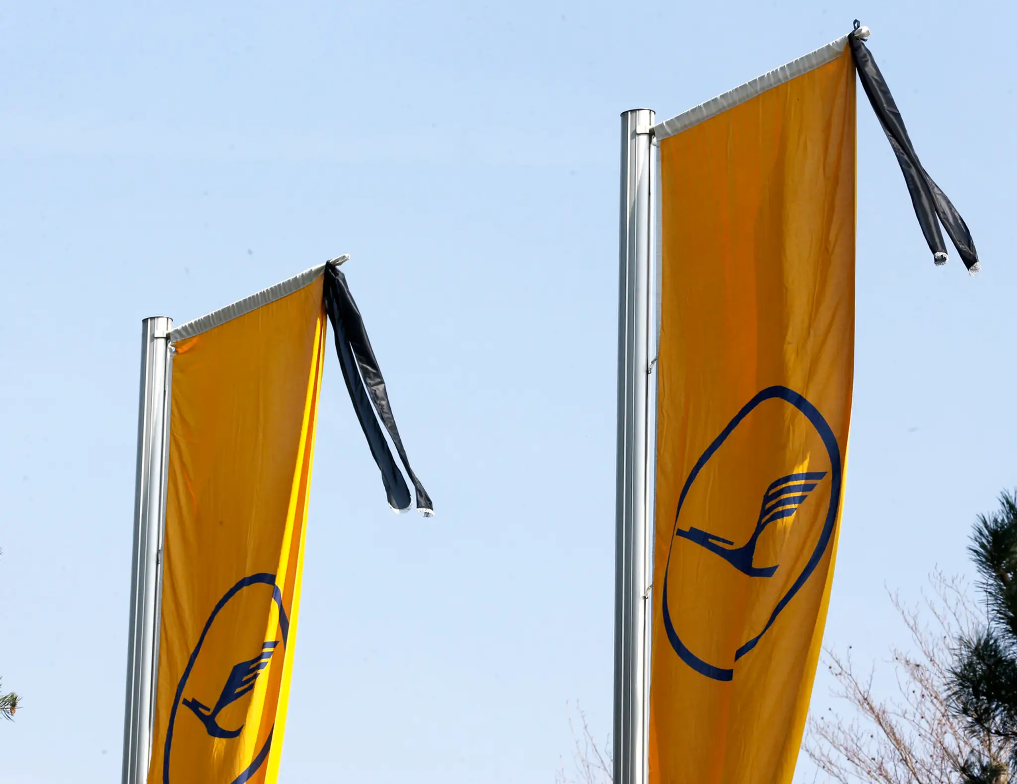 Čierne pásky vejú na stožiari s vlajkami pred centrom leteckej spoločnosti Lufthansa vo Frankfurte nad Mohanom.