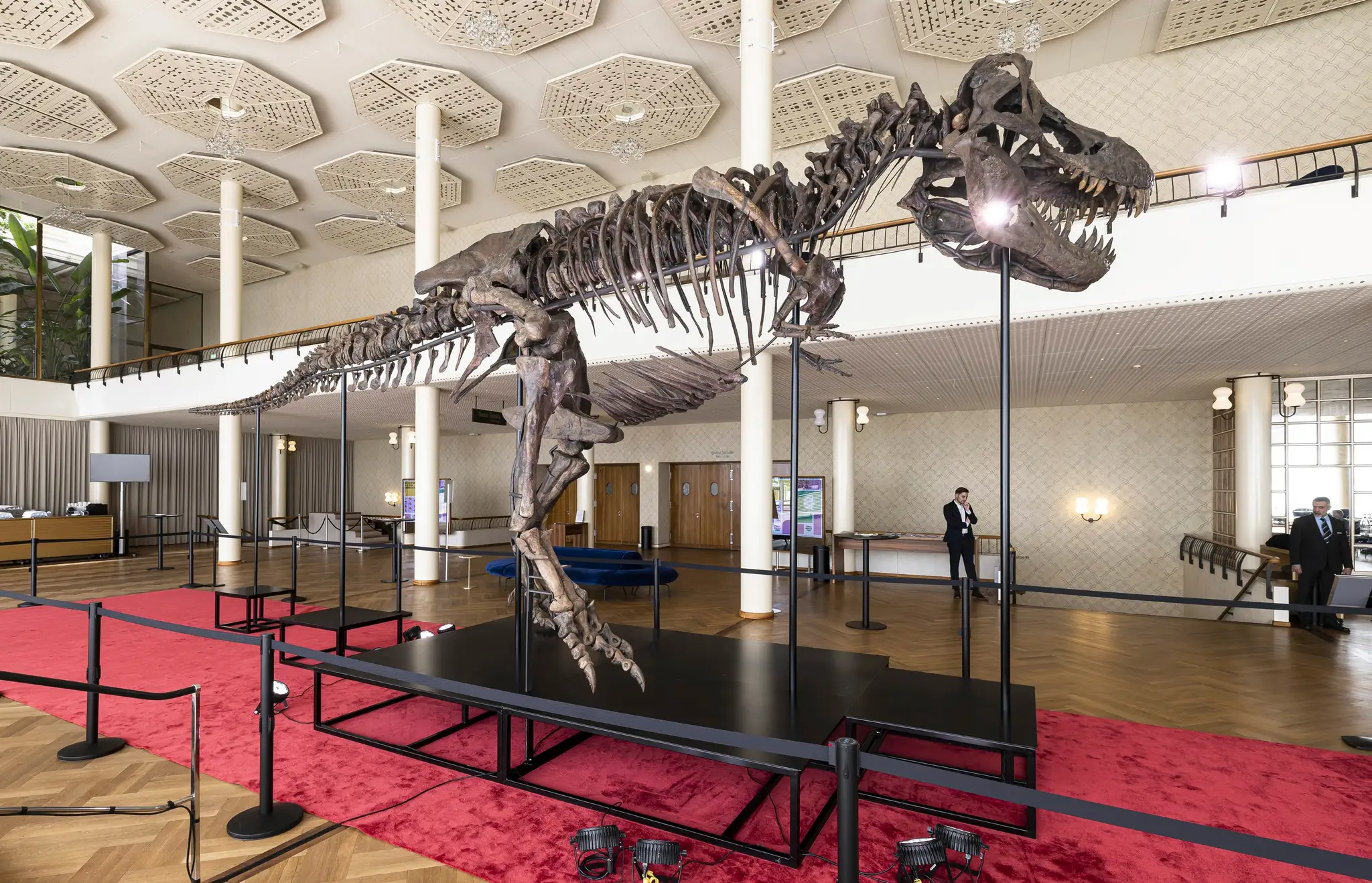 Switzerland_T_Rex236033
