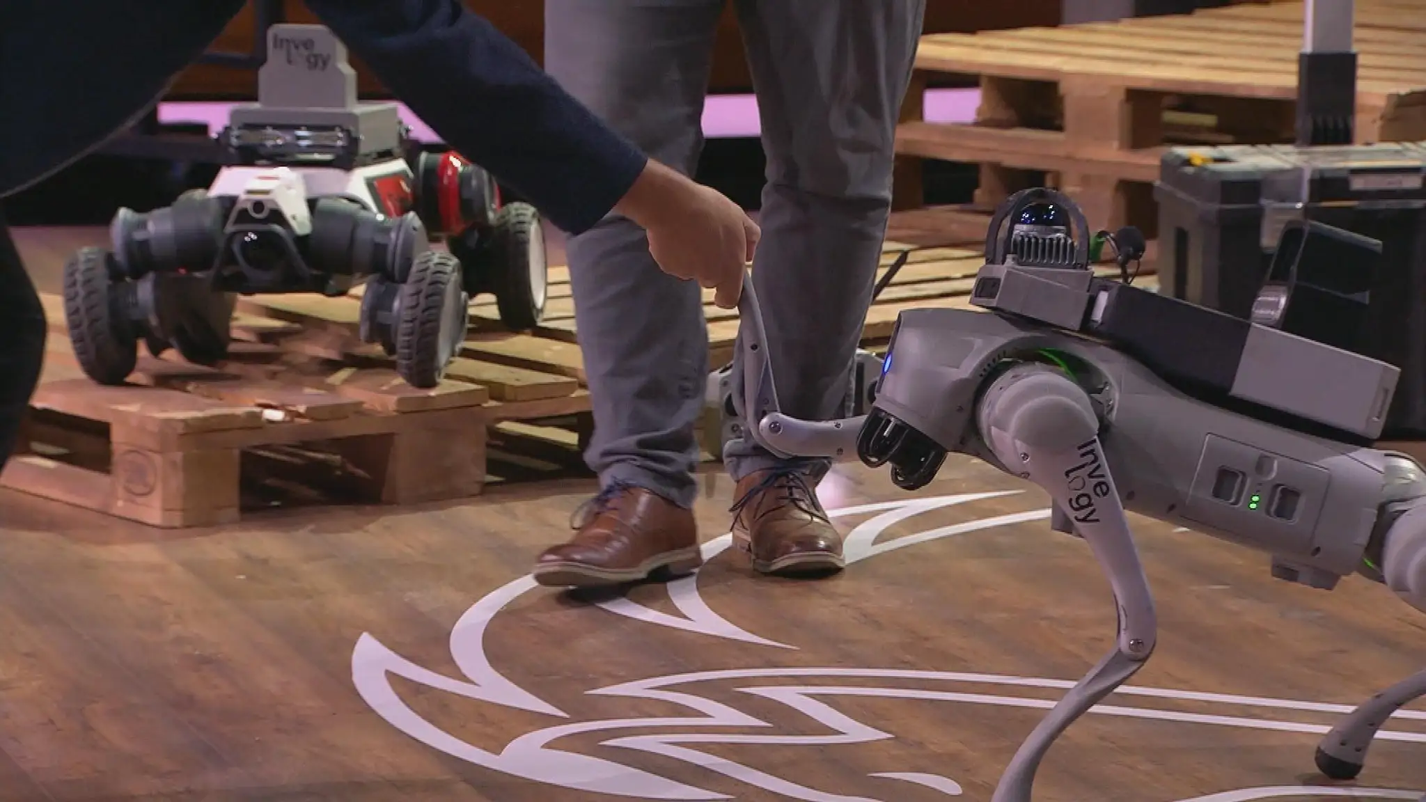 Robotické psy v Jame levovej zaujali.
