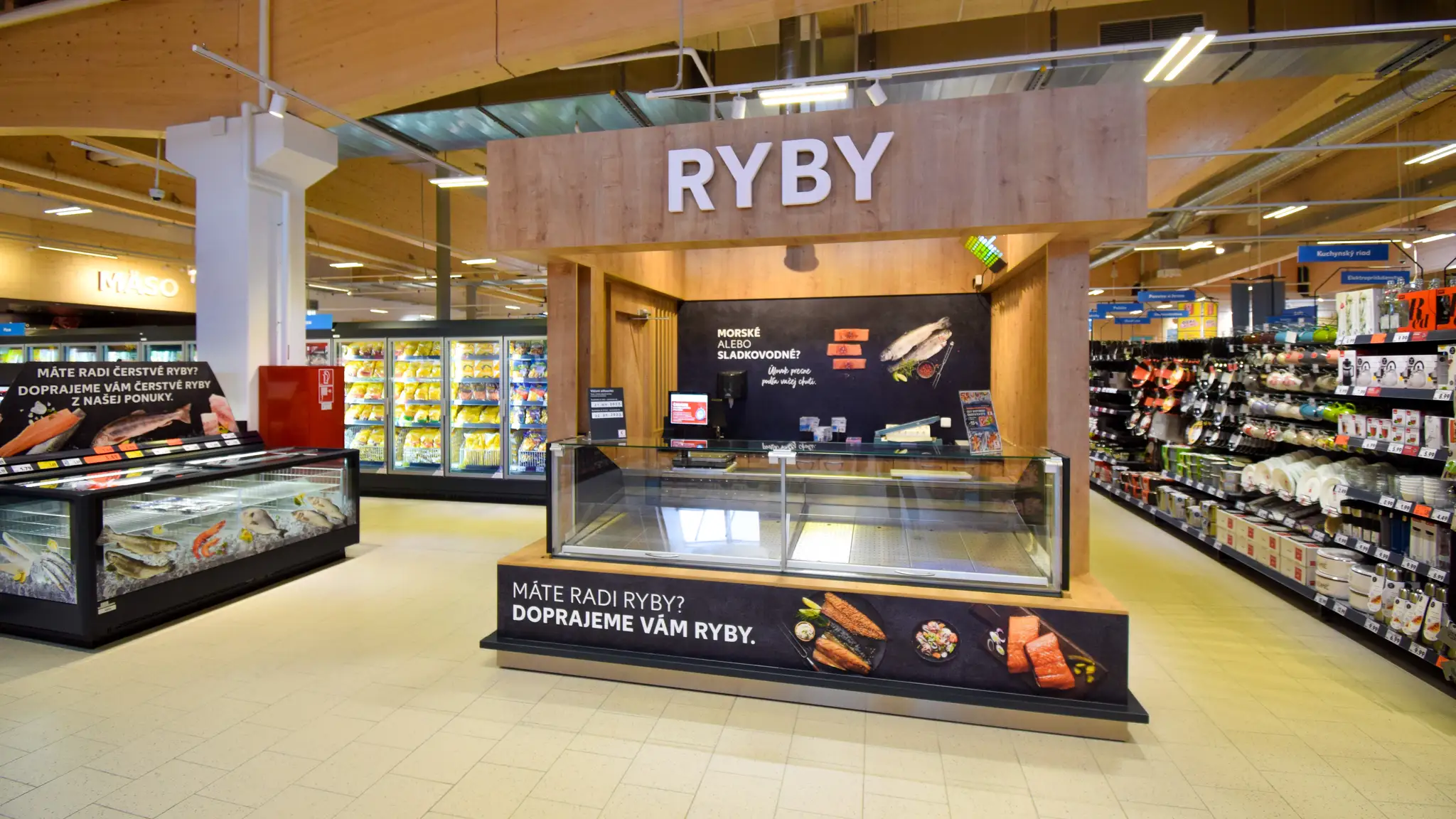 Oddelenie rýb.