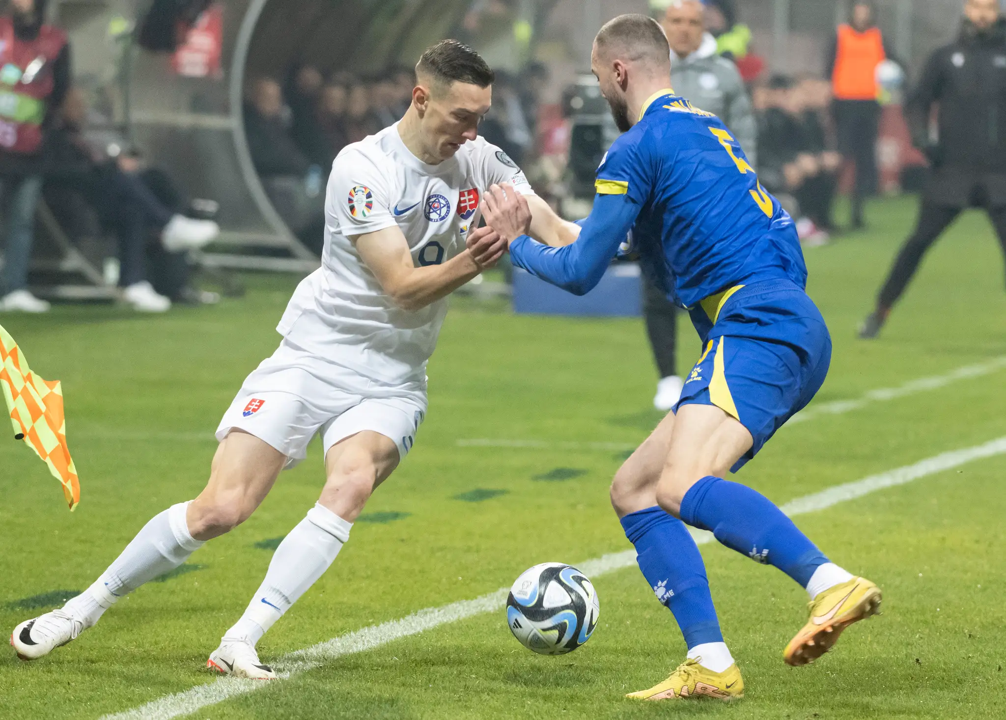 Bosna a Hercegovina - Slovensko.