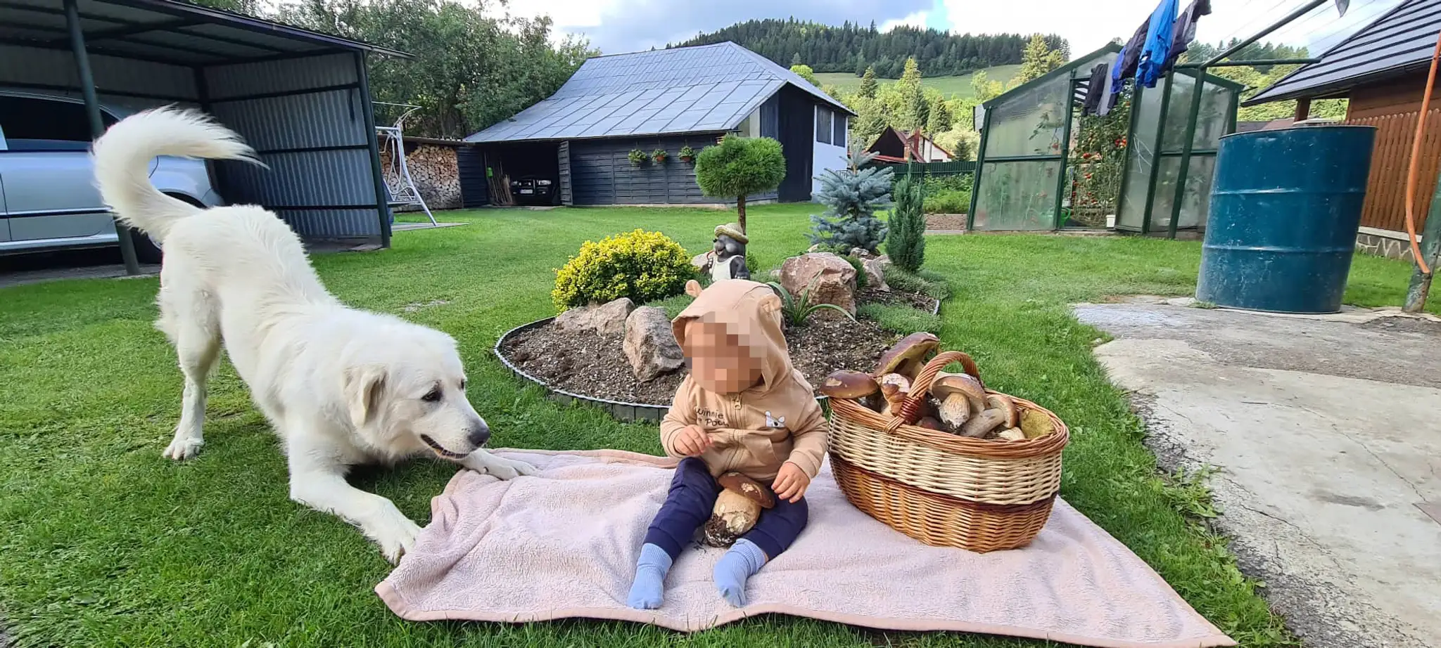 Jozef z Bánoviec nad Bebravou