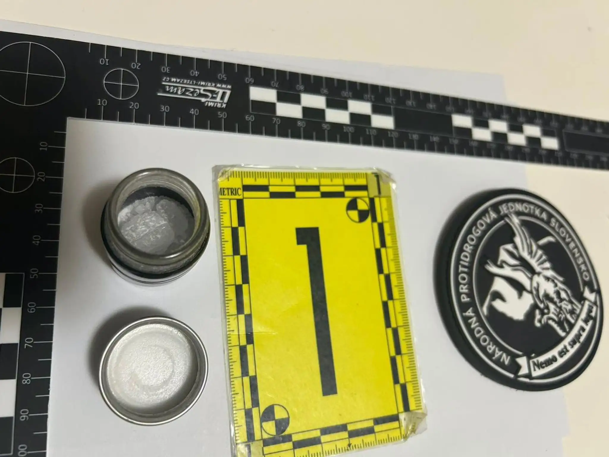 Policajná akcia Leo