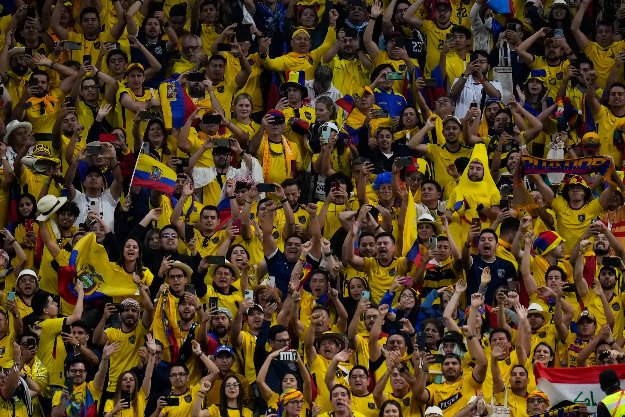 WCup_Qatar_Ecuador_Soccer880750