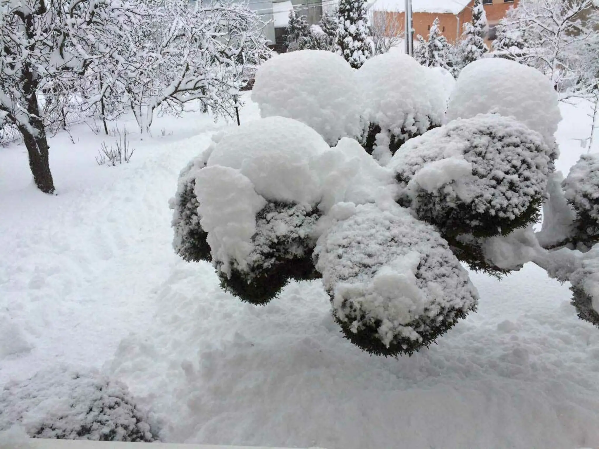 Nižný Hrušov.