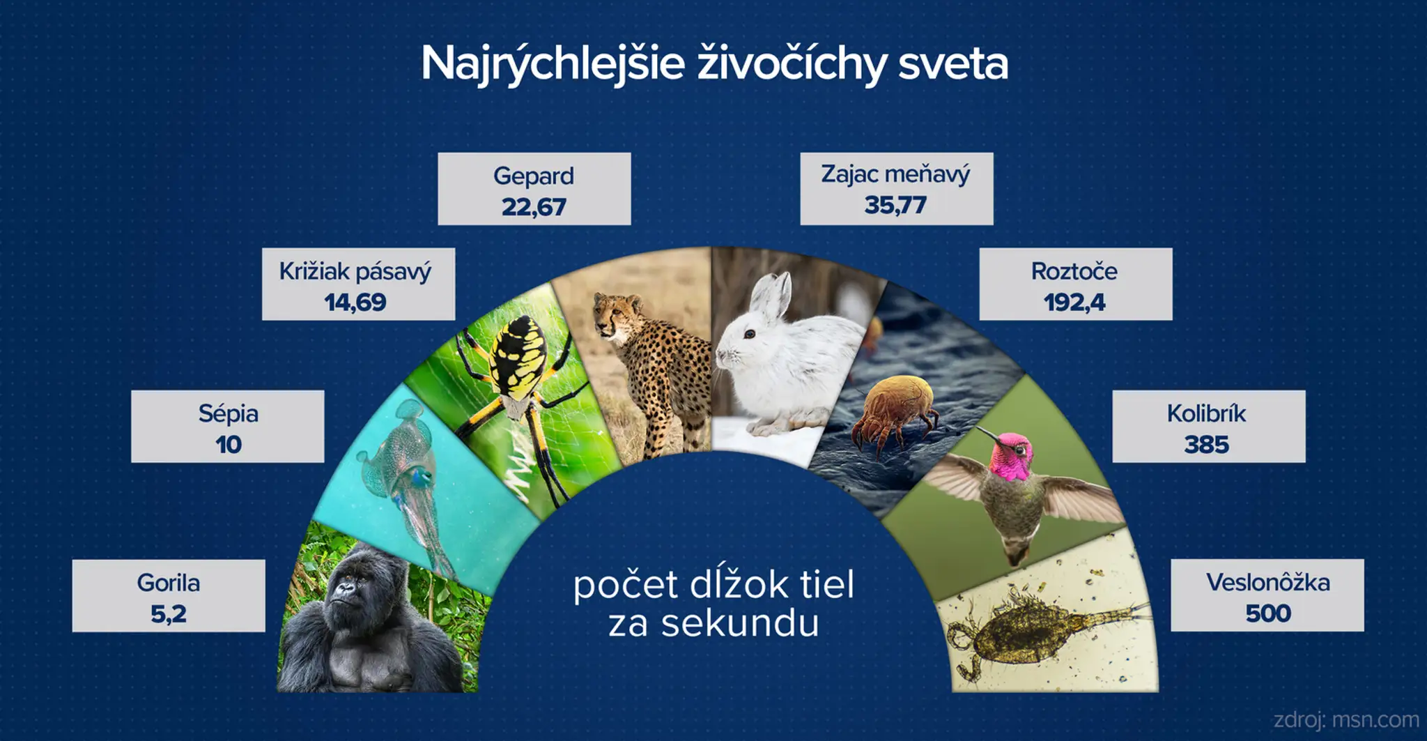 Ilustračná snímka.