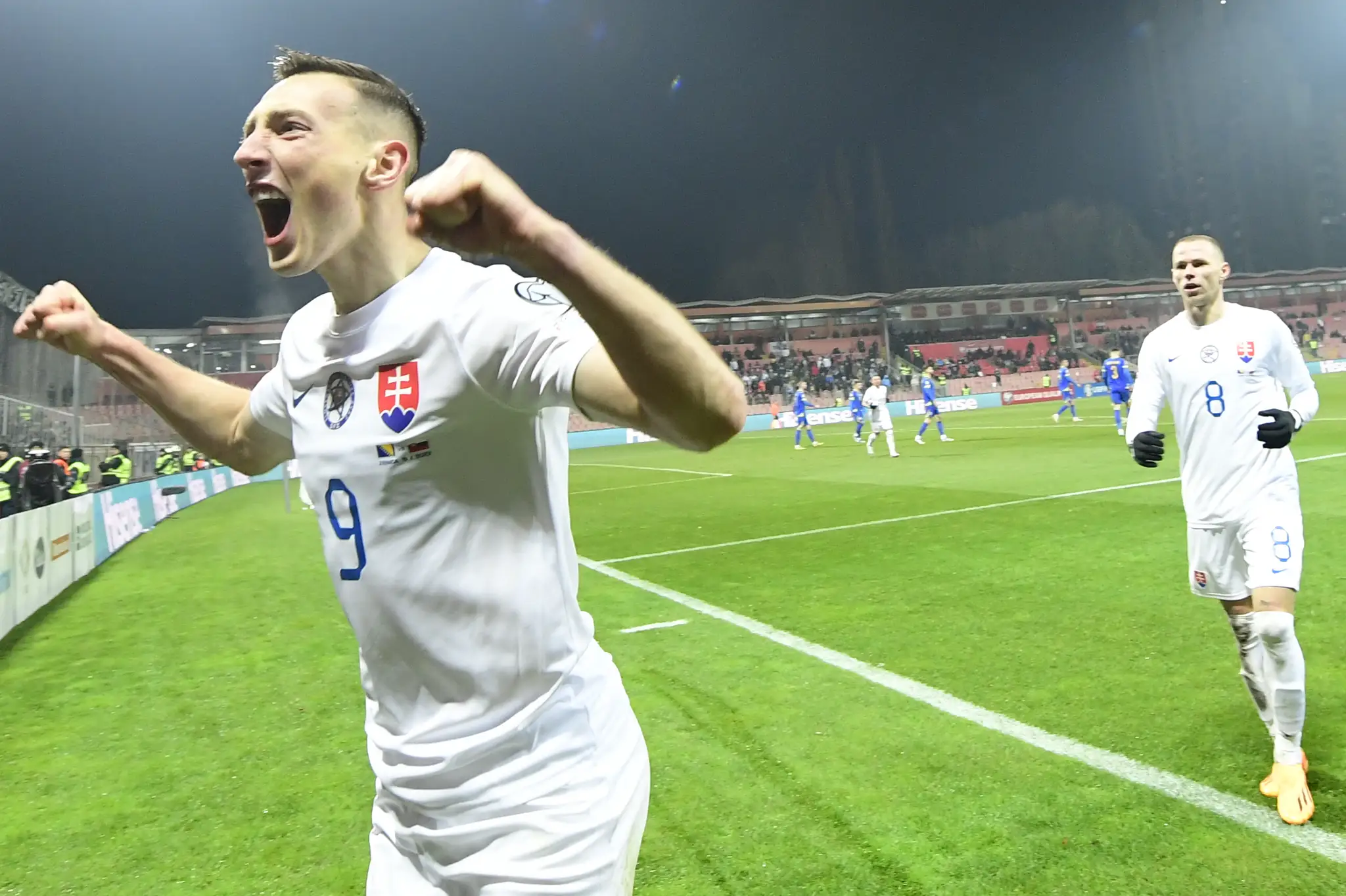 Bosna a Hercegovina - Slovensko.