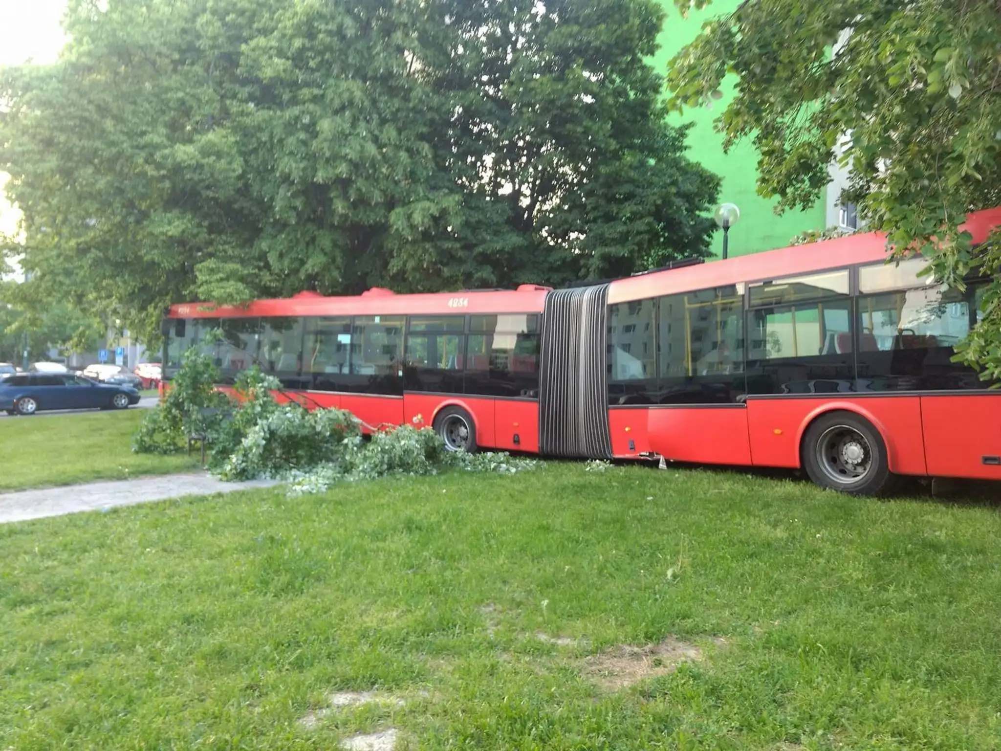 Autobus bez kontroly zastavili až stromy.
