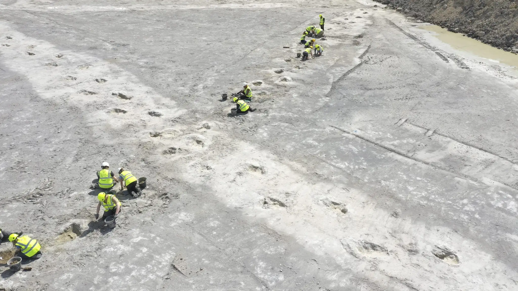 V Anglicku objavili stopy dinosaurov