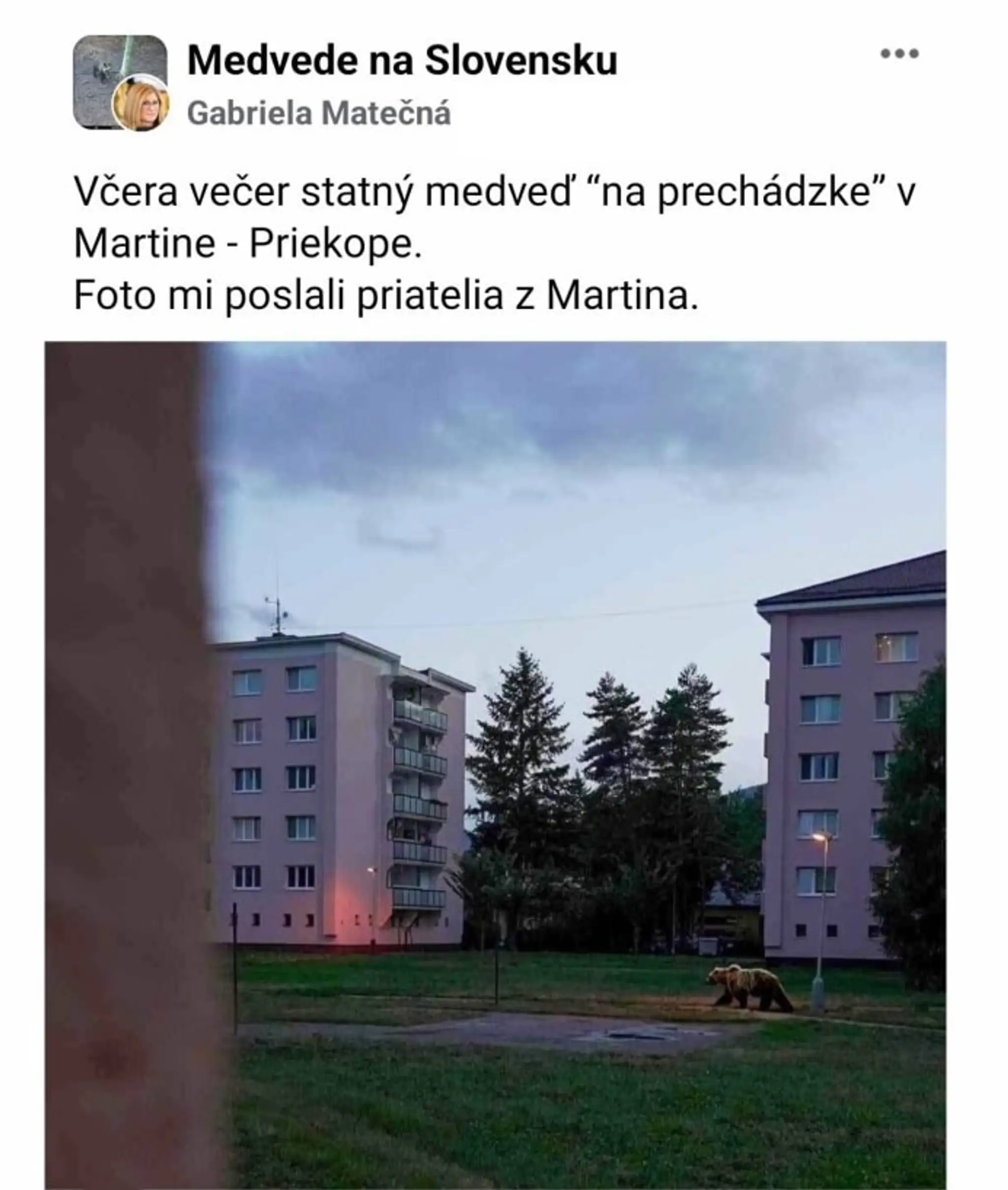 Príspevok Matečnej