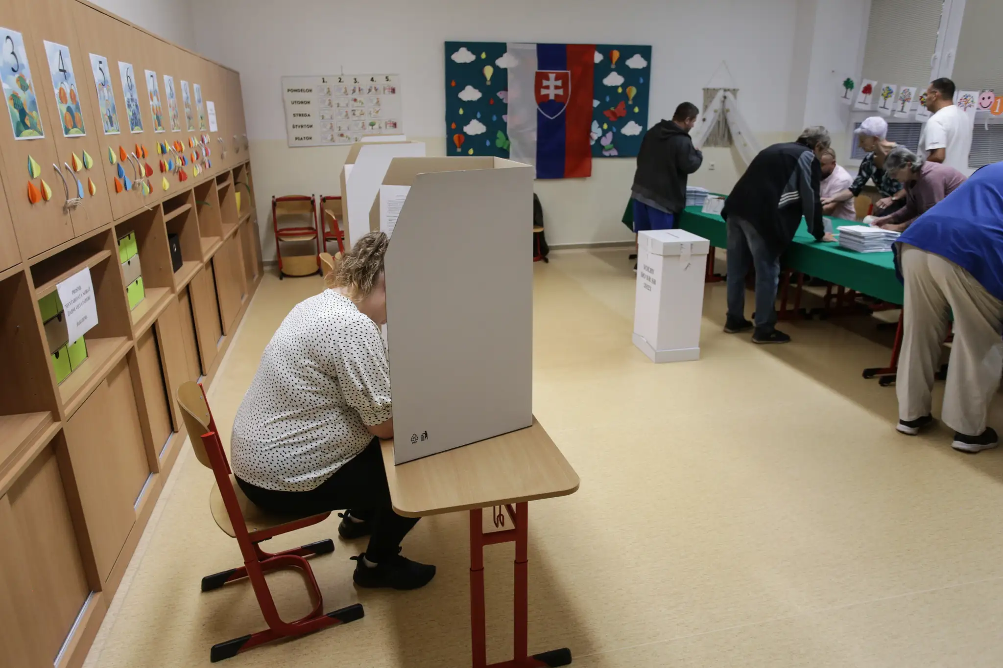 Hlasovanie v predčasných parlamentných voľbách