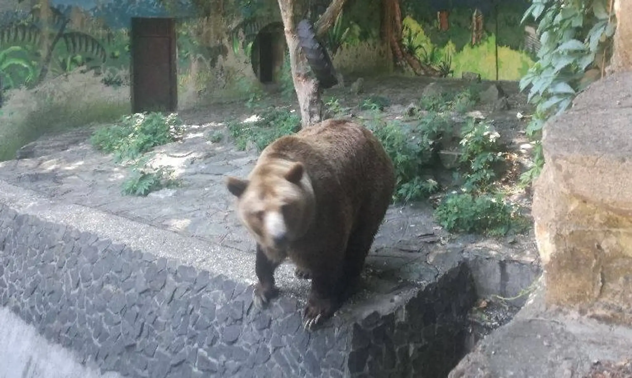 Zvieratá ostali bez vody.