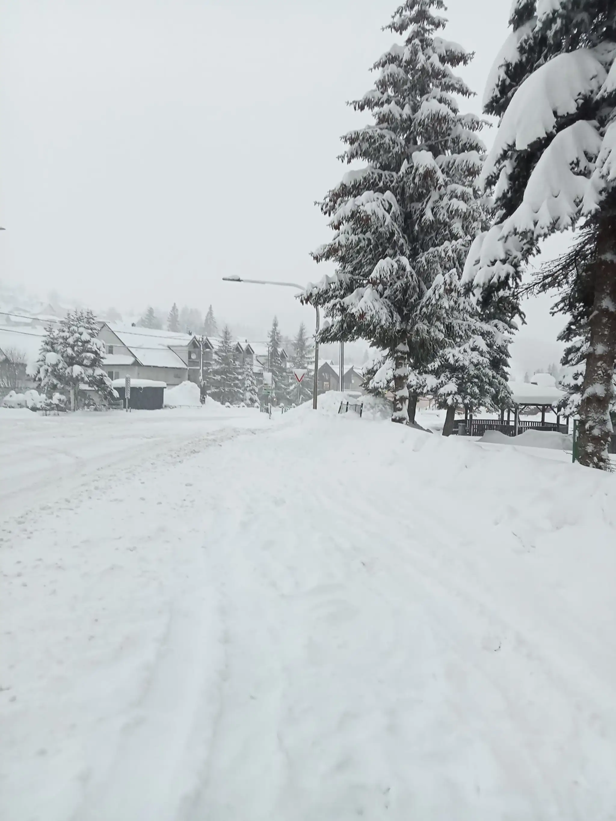 Obec Oravská Lesná, okres Námestovo