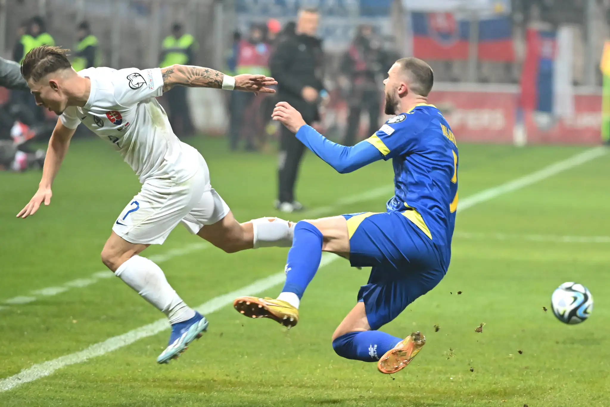 Bosna a Hercegovina - Slovensko.
